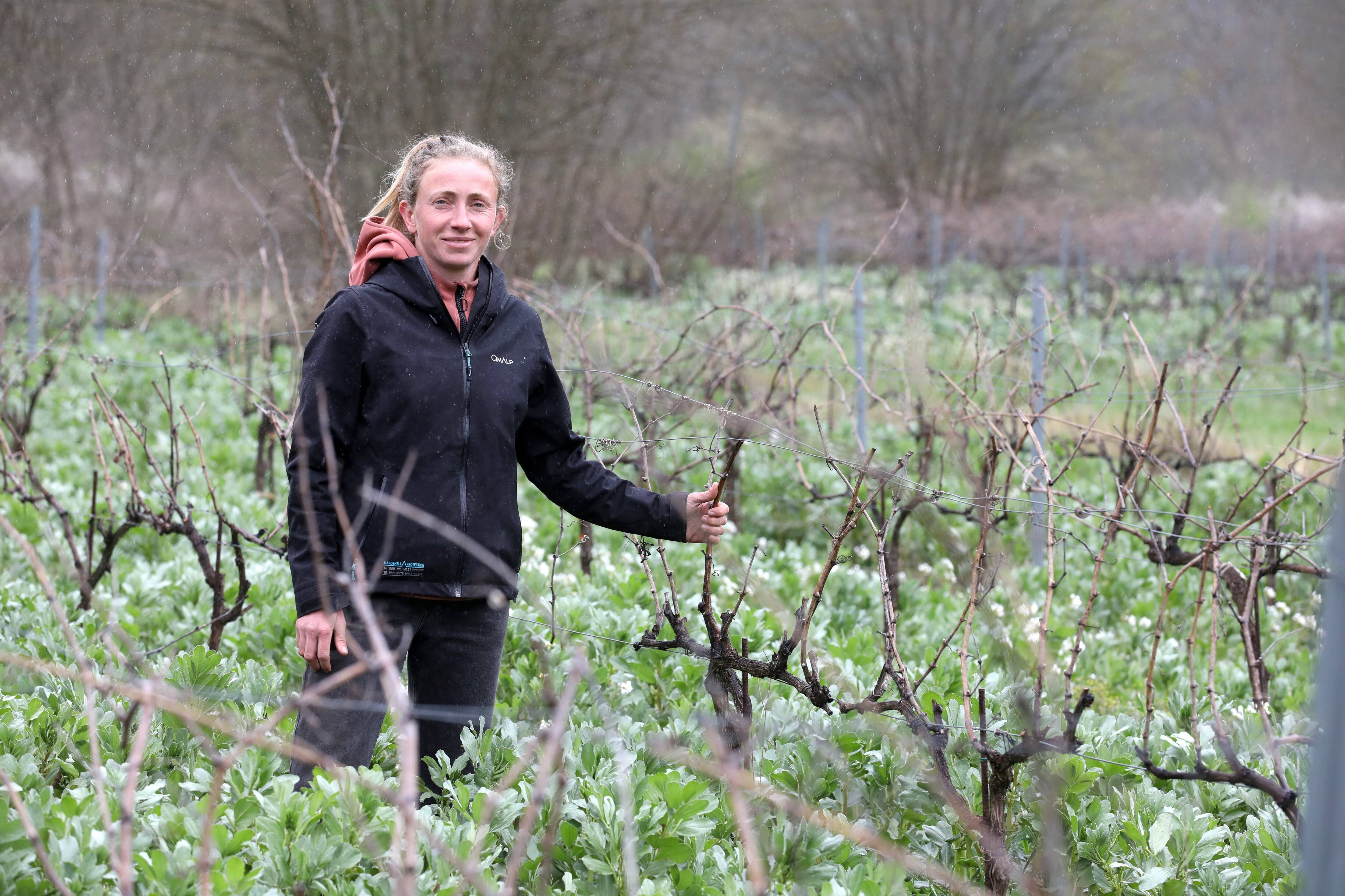 De la physique au vin nature: une reconversion réussie en Provence verte pour Gwenaëlle Le Bars