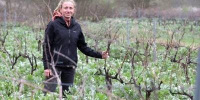 De la physique au vin nature: une reconversion réussie en Provence verte pour Gwenaëlle Le Bars