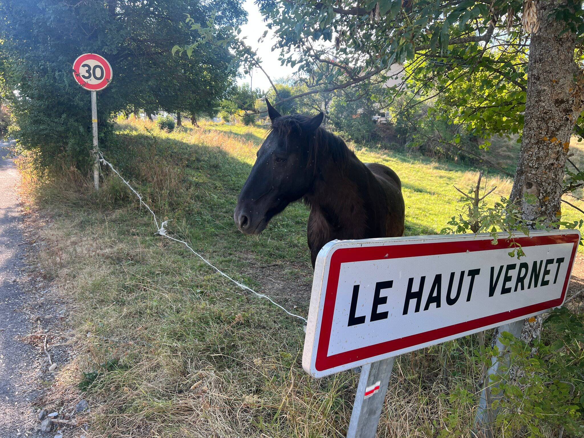 Ossements du petit Émile retrouvés: retour sur les neuf mois d'une affaire qui renferme encore bien des secrets
