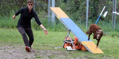 Compétition d'agility de l'Estérel club d'éducation canine: des équipes très agiles sur la boue fréjusienne