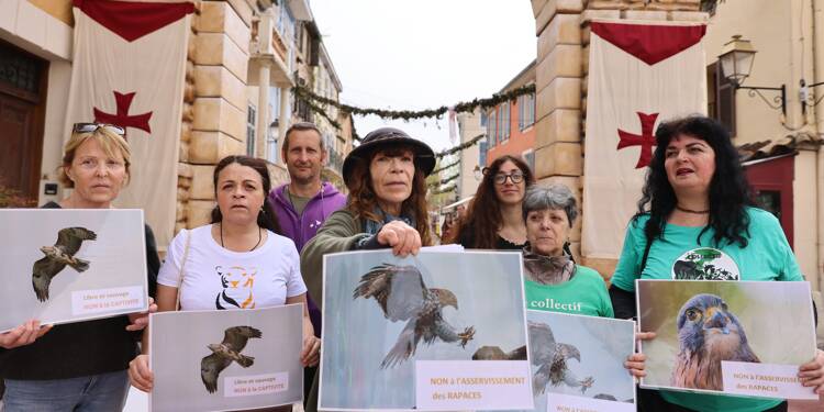 Les animaux ne sont pas des attractions!: des militants de la cause animale devant l’entrée de la fête des Templiers à Biot ce dimanche