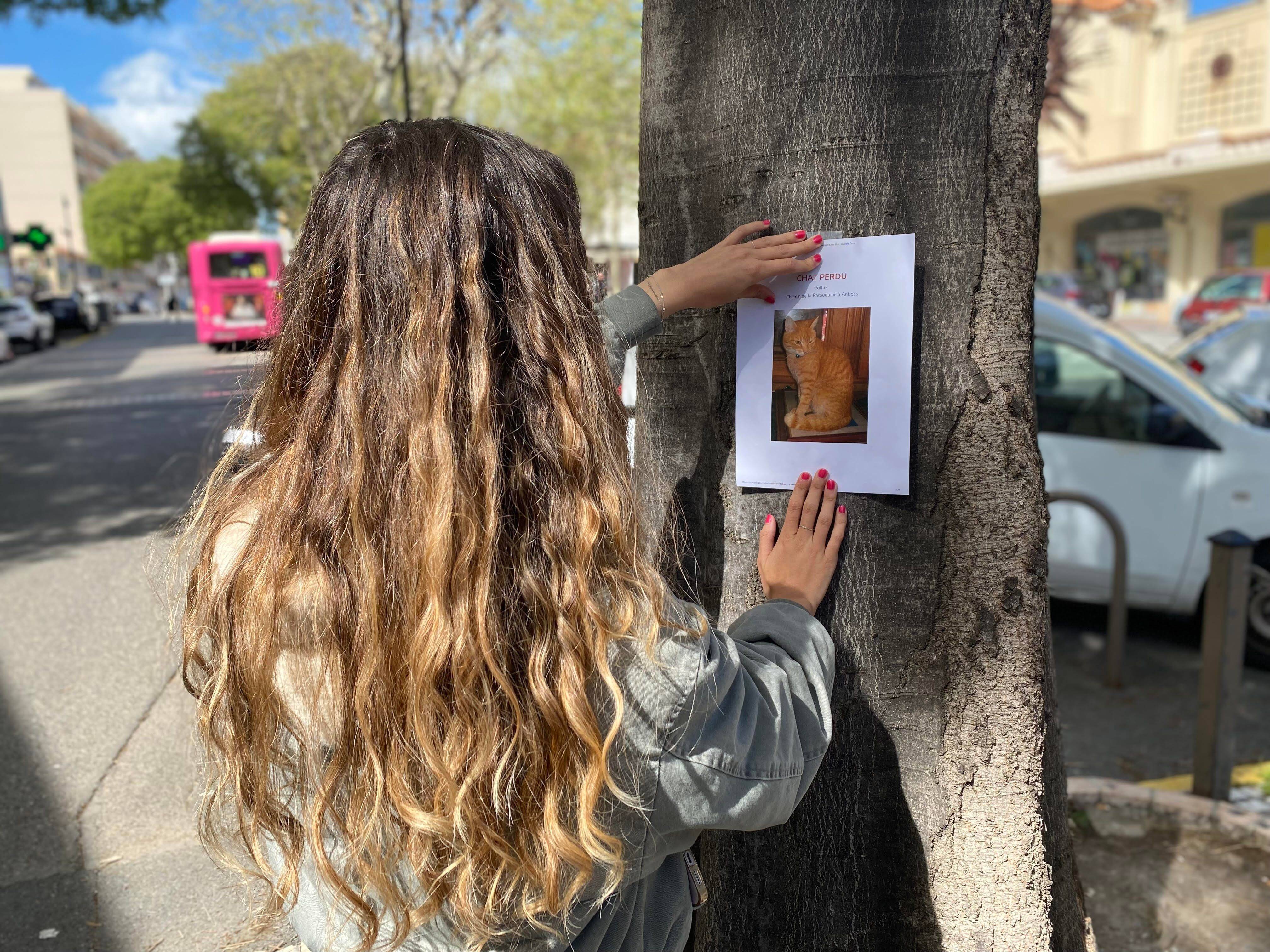 Ma voisine ne veut pas me rendre mon chat, que faire? On vous donne quelque conseils