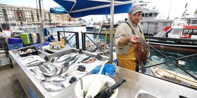 Ce qu'a annoncé Christian Estrosi pour faciliter la vie des pêcheurs professionnels à Nice