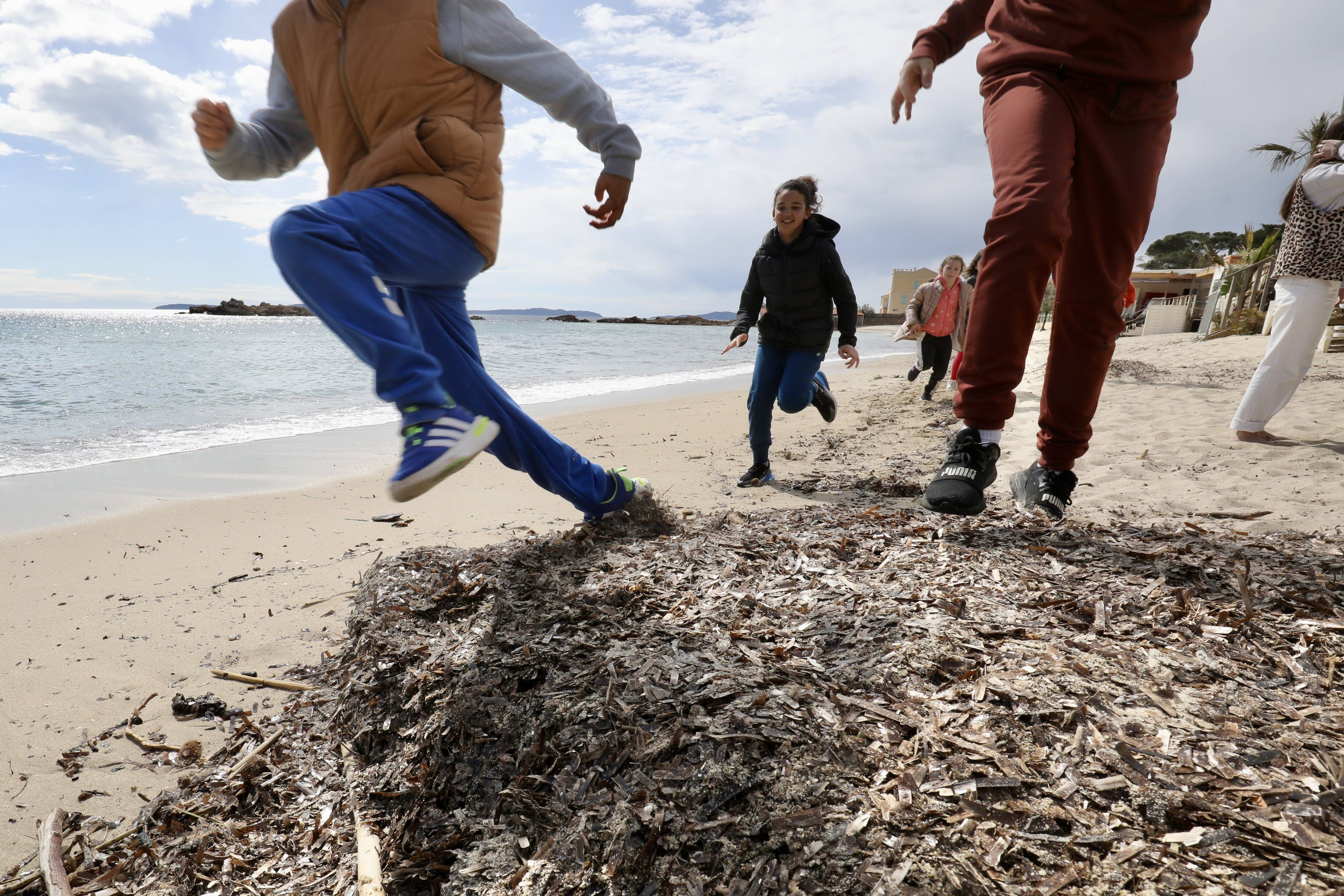 (Re)gardez la posidonie sur nos plages, elle est précieuse: une quinzaine d'élus de la Région s'engagent