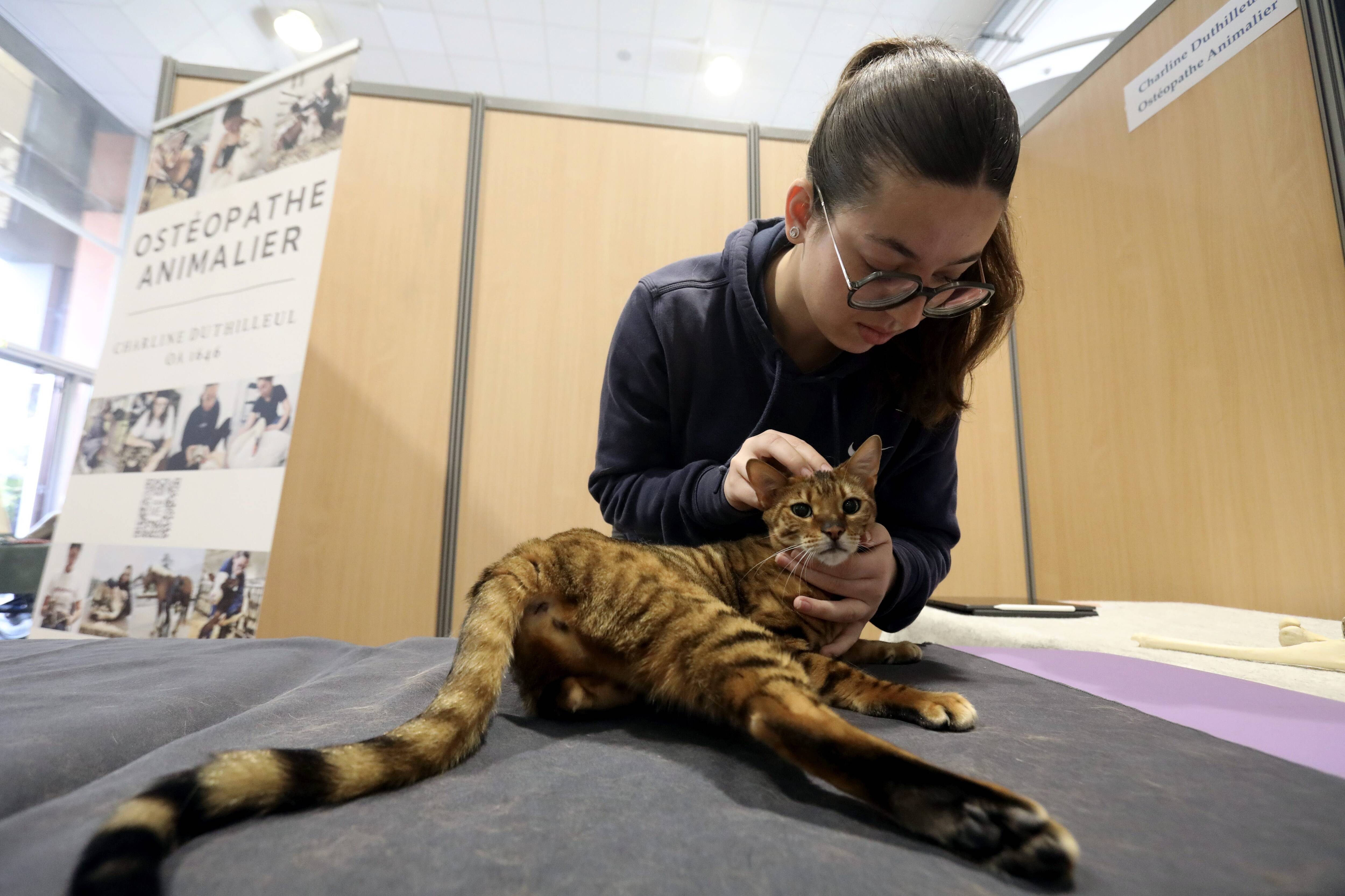 Comment apaiser le stress de votre chien ou chat ? On a rencontré des professionnelles du bien-être au Salon des animaux de Cagnes-sur-Mer