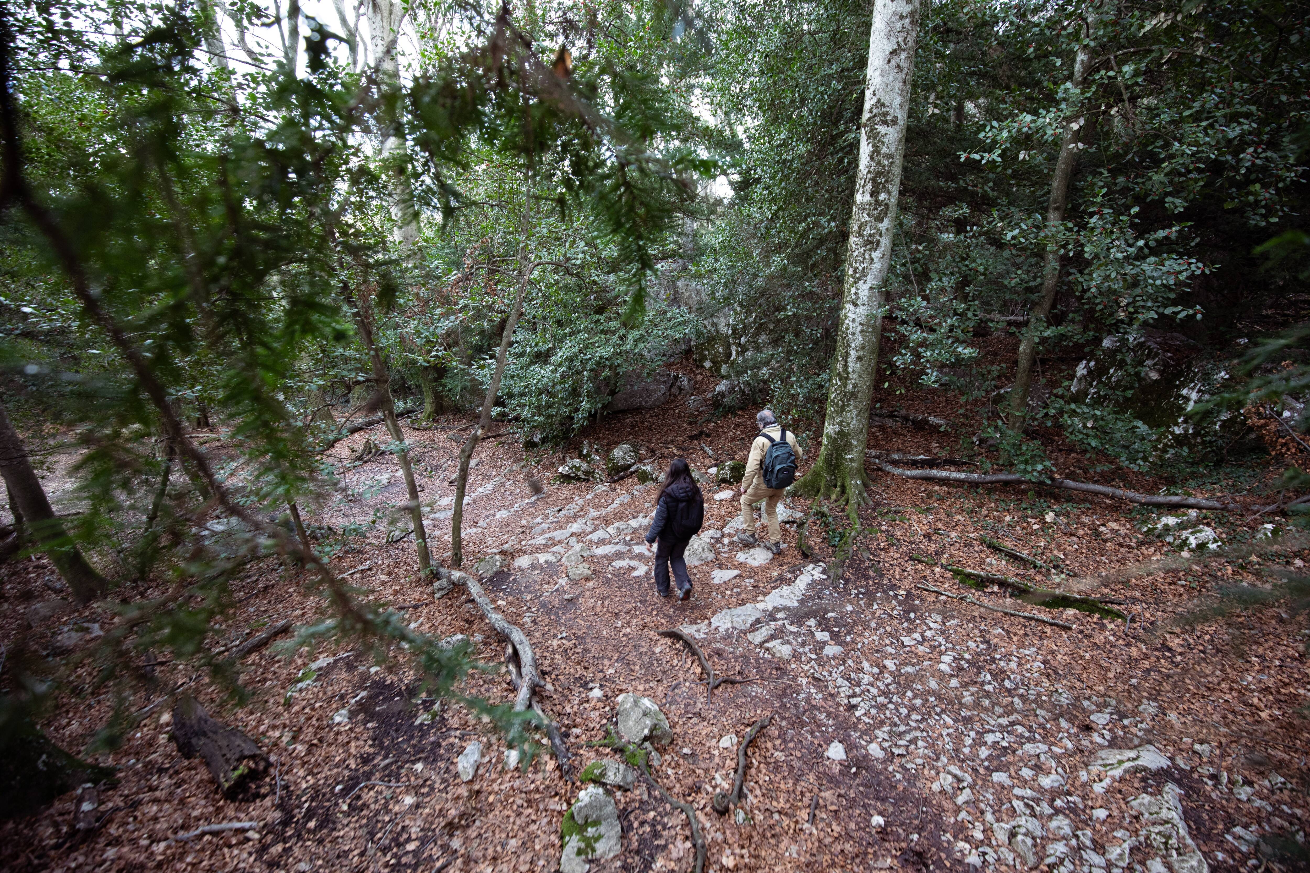 Ce petit village de l'arrière-pays de Nice augmente ses taxes locale pour "redonner un peu de dynamisme" à ses recettes fiscales