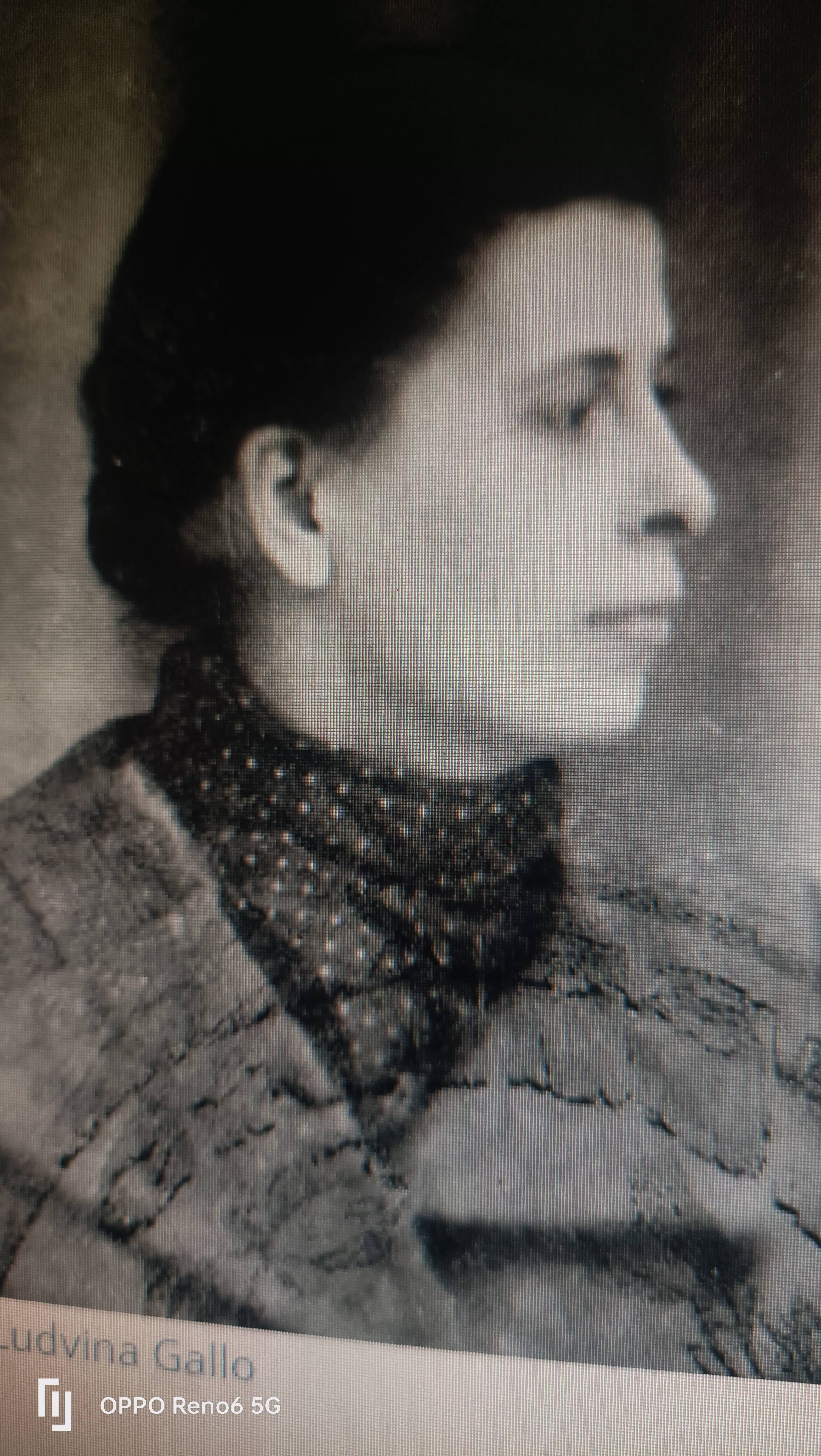 "Il n'y avait pas de trace officielle à Contes de leur bravoure, nous le leur devions": ce couple de Justes parmi les nations enfin honoré chez lui ce vendredi