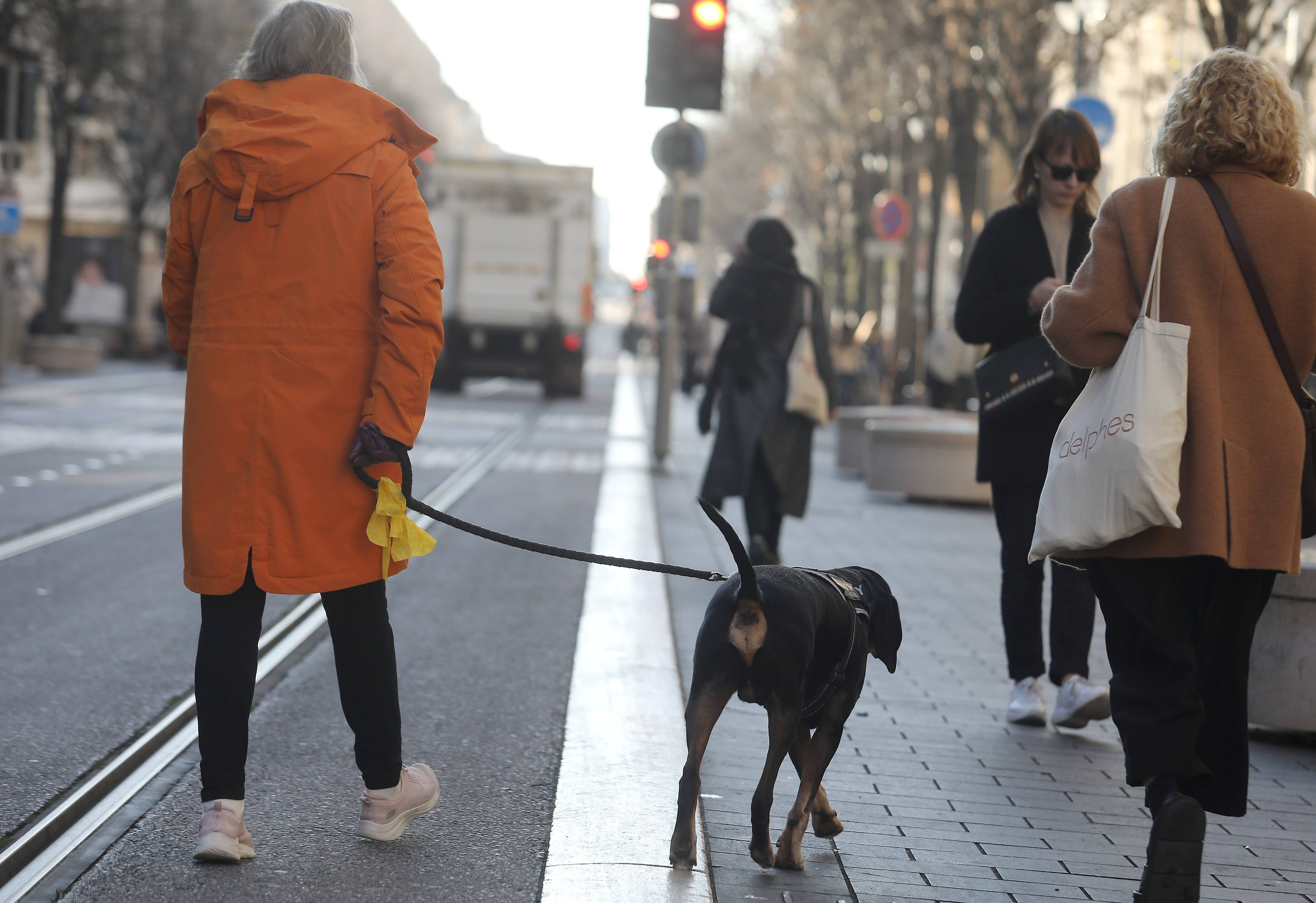 Votre budget soins animaliers et vétérinaires a augmenté ? Comment le gérez-vous? Votre témoignage nous intéresse