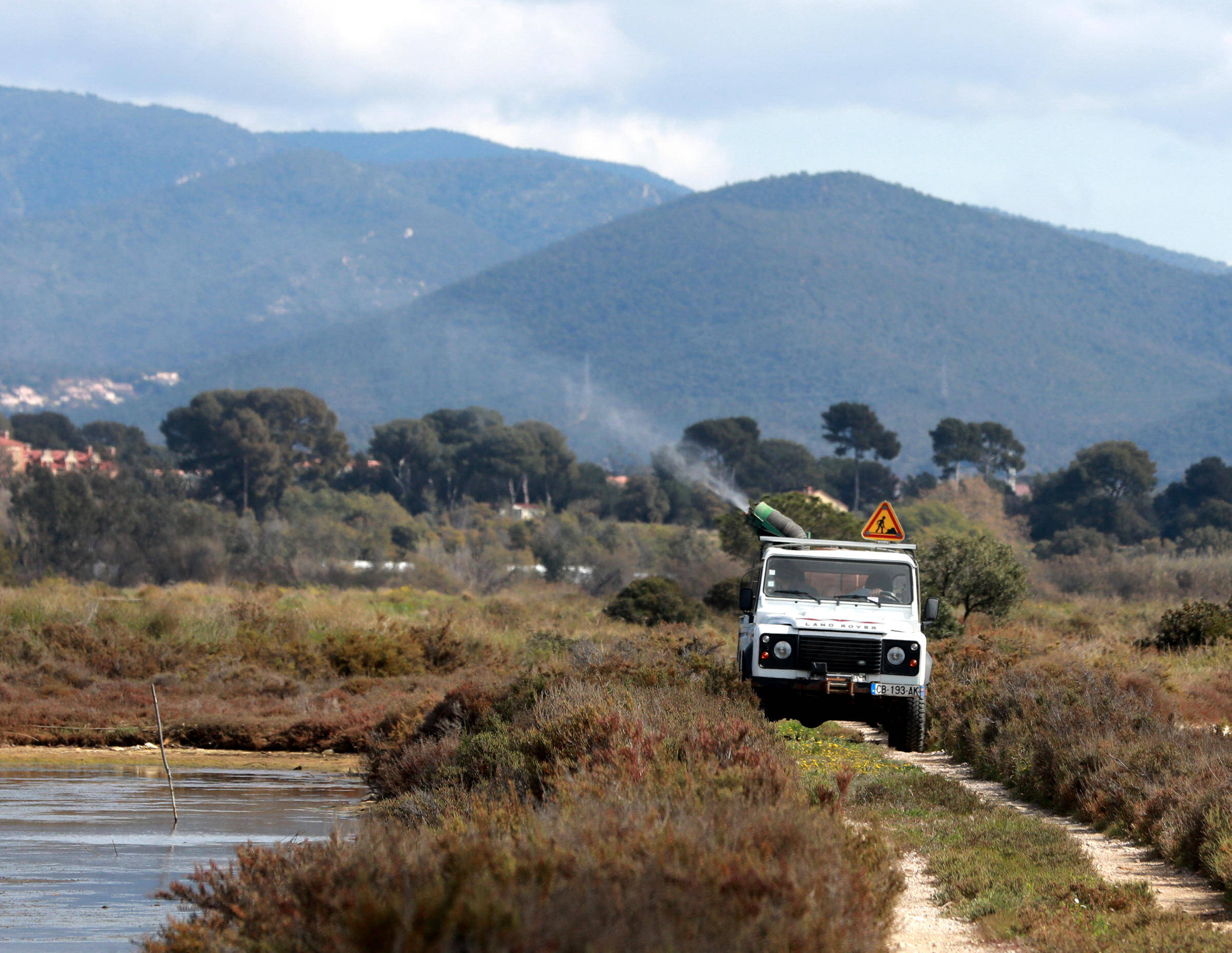 Recrudescence des cas de dengue: comment Hyères est devenue en pointe dans la lutte contre le moustique tigre