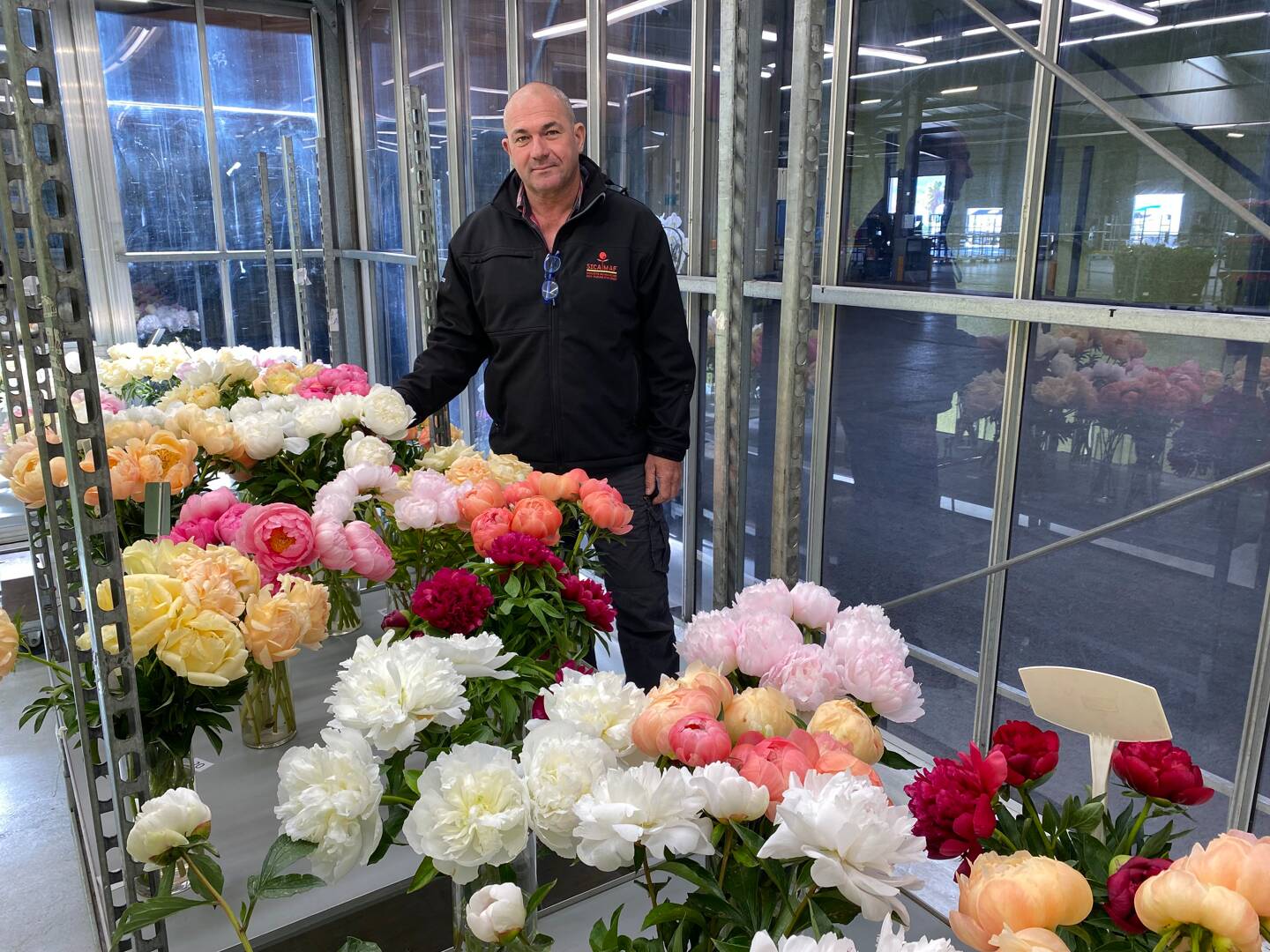 Marc Long dans une salle de test du marché aux fleurs, où la longévité des différentes pivoines, coupées et mises dans des vases, est analysée