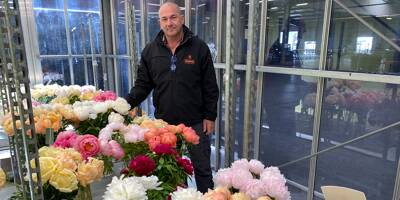 Avec un million de fleurs produites par an dans le Var, comment la pivoine est devenue la 