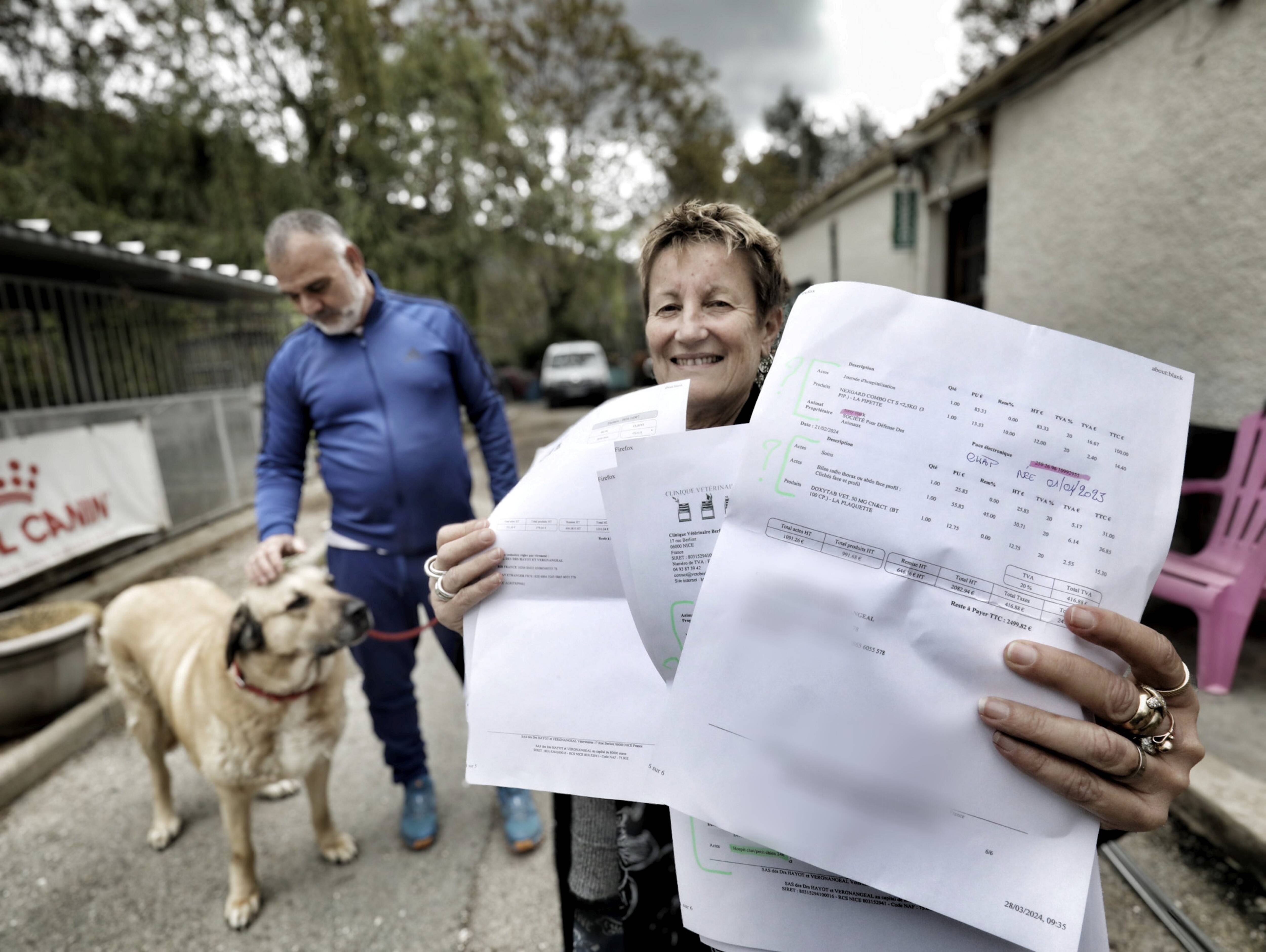 "Pour notre refuge, les frais vétérinaires ont augmenté de 25 à 30 % en à peine cinq ans": cette association de défense des animaux a besoin d'aide pour sa survie