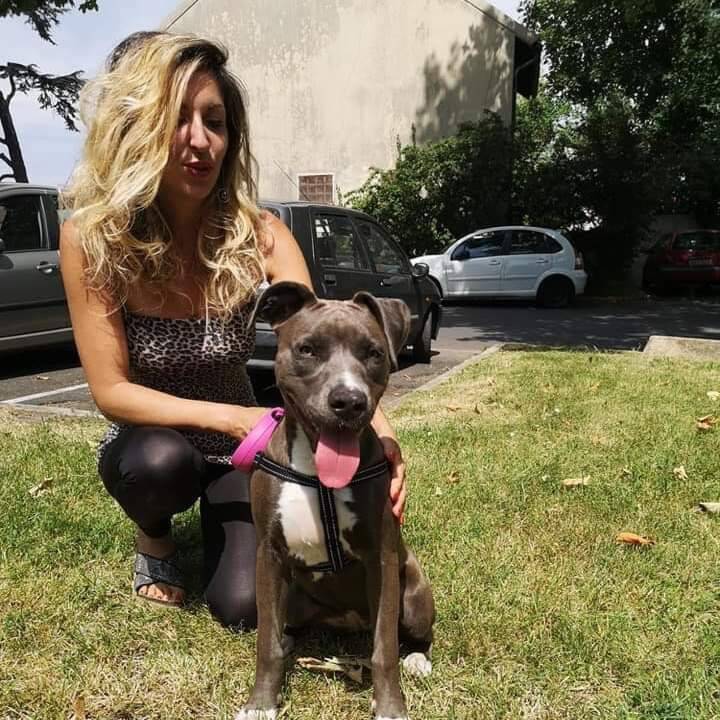 Le SOS des petites associations de protection animale, une cagnotte en ligne lancée