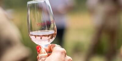 Notre sélection de cuvées de rosés 2023 produits par les vignerons... de Rouge Provence