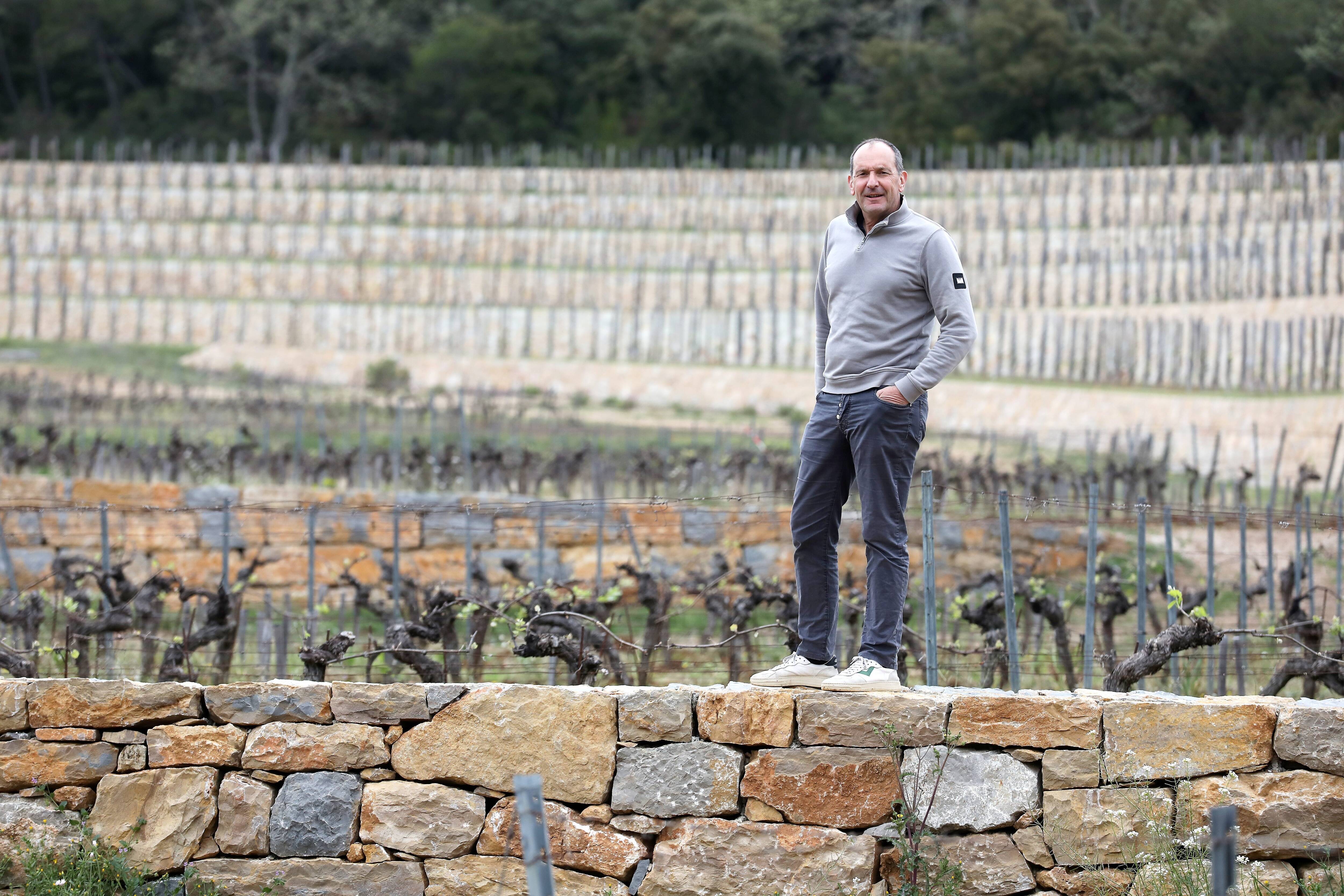 "Cette parcelle sublime donnera un très grand vin": au château de Miraval, quels sont les challenges viticoles à venir?