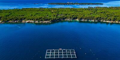 Ferme aquacole des îles de Lérins: la décision appartient désormais au préfet pour moderniser le site