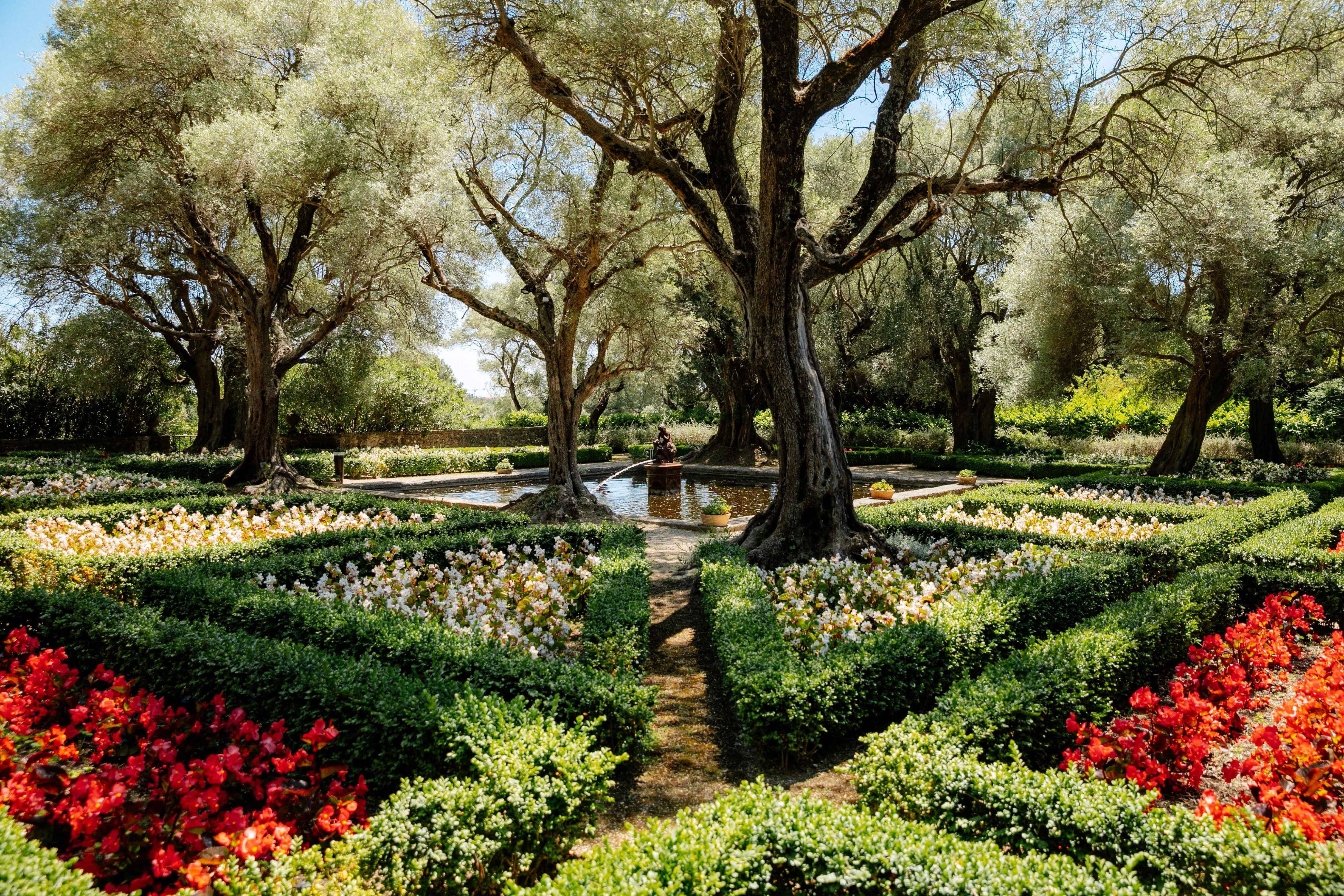 Le passage des Rolling Stones, 365 oliviers plantés, ancienne écuries du château d'Antibes... L'héritière de la Bastide du Roy nous révèle tous ses secrets