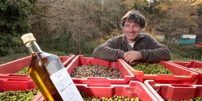 En Provence, la flambée du prix du litre d'huile d'olive n'a pas que des mauvais côtés