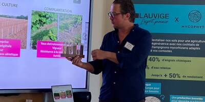 La startup grassoise Mycophyto s'allie à l'embouteilleur brignolais Lauvige pour conquérir la viticulture