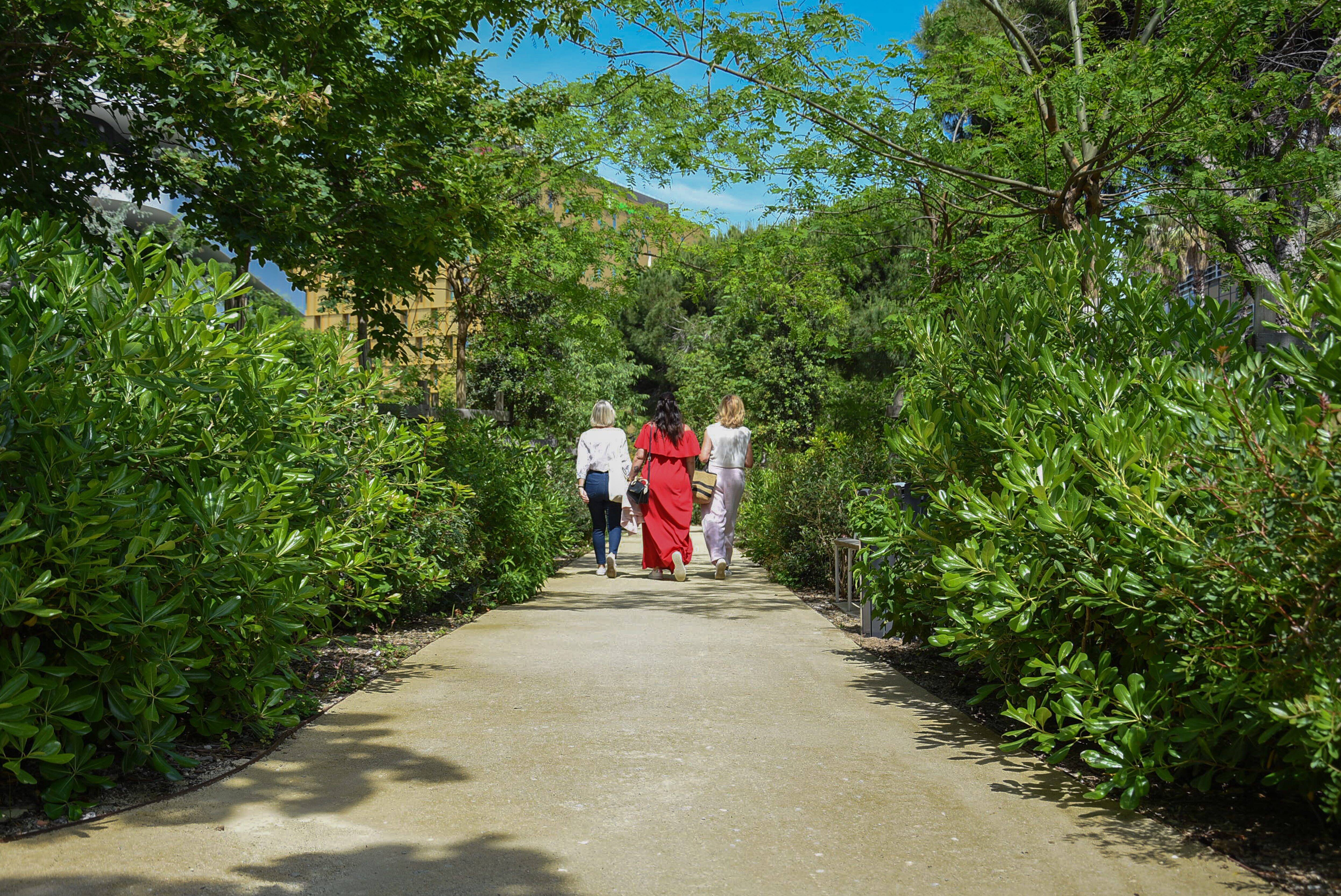 "Je ne veux pas qu'on dise que pendant qu'on verdit la partie Est de la ville, on ne fait rien ici": Christian Estrosi présente ce nouvel espace vert