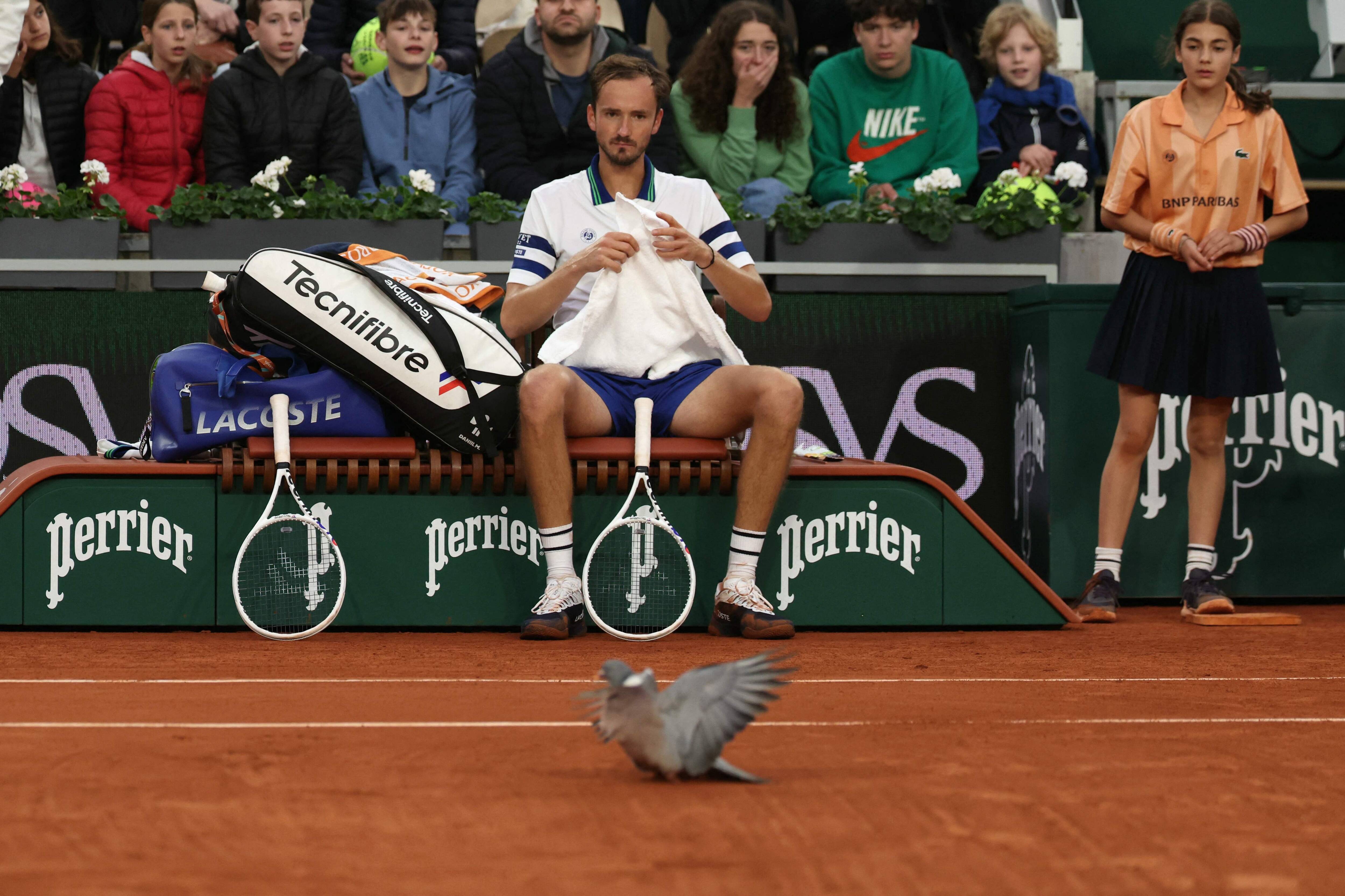 "J'espère que le pigeon va bien": quand le tennisman Daniil Medvedev s'inquiète pour un oiseau venu percuter le toit d'un court à Roland-Garros