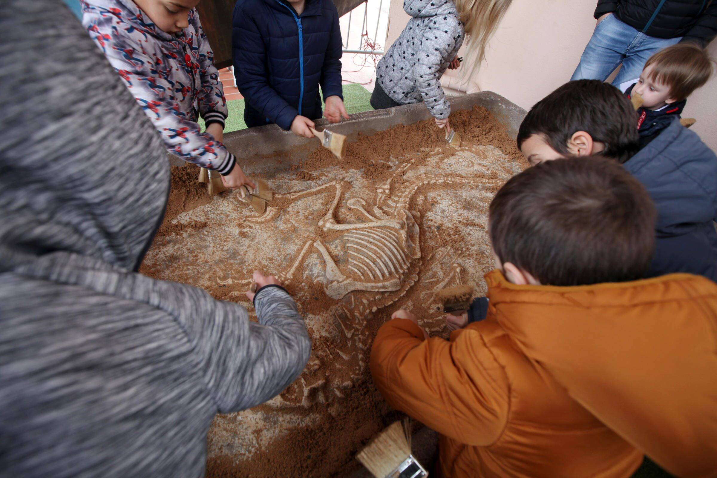 "Le jour où la vie a failli s'éteindre": un Café science avec un paléontologue ce samedi à Draguignan