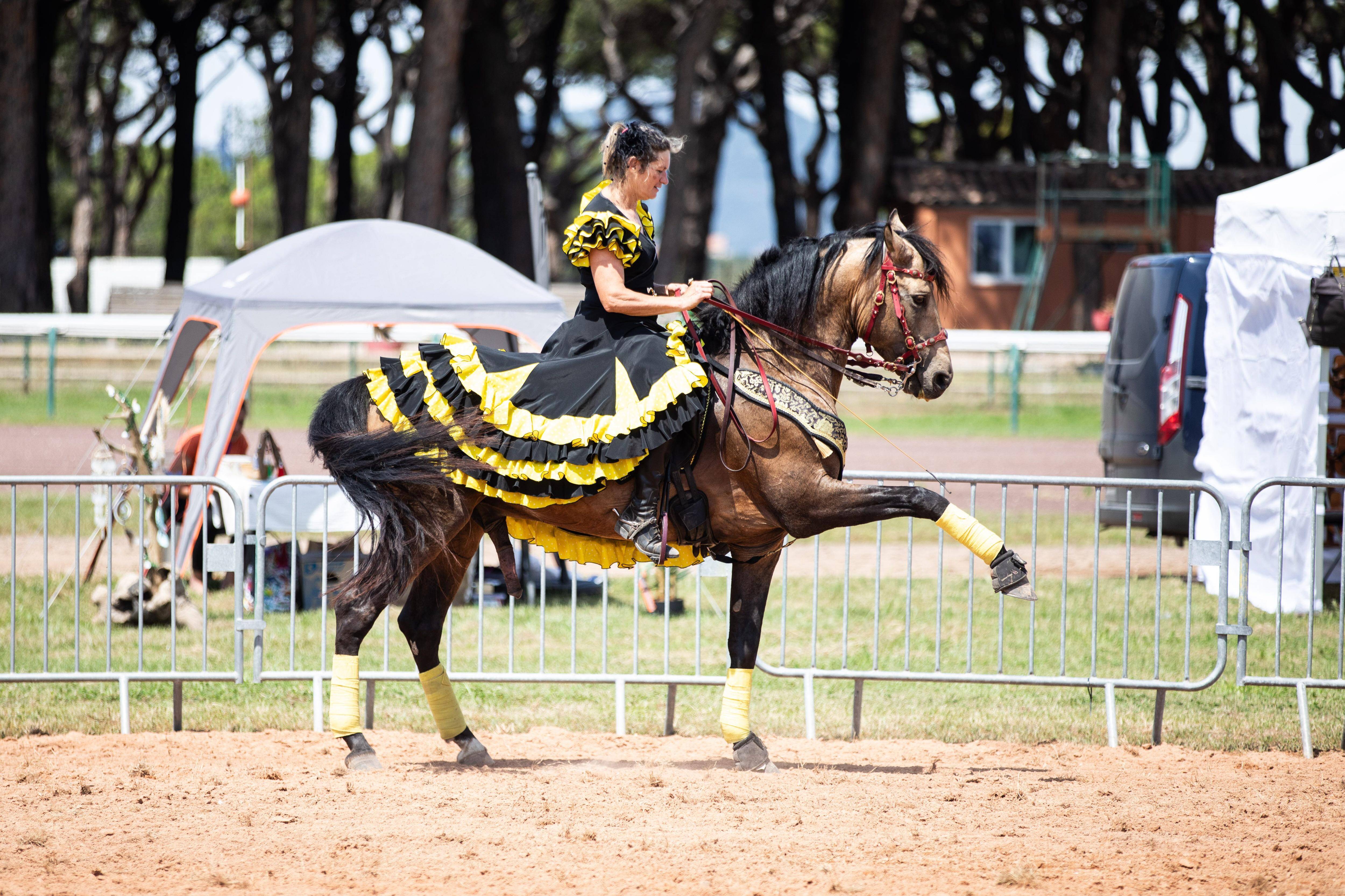 5 bonnes raisons de faire un tour aux Equid'Hyères ce week-end à l'hippodrome de la Plage