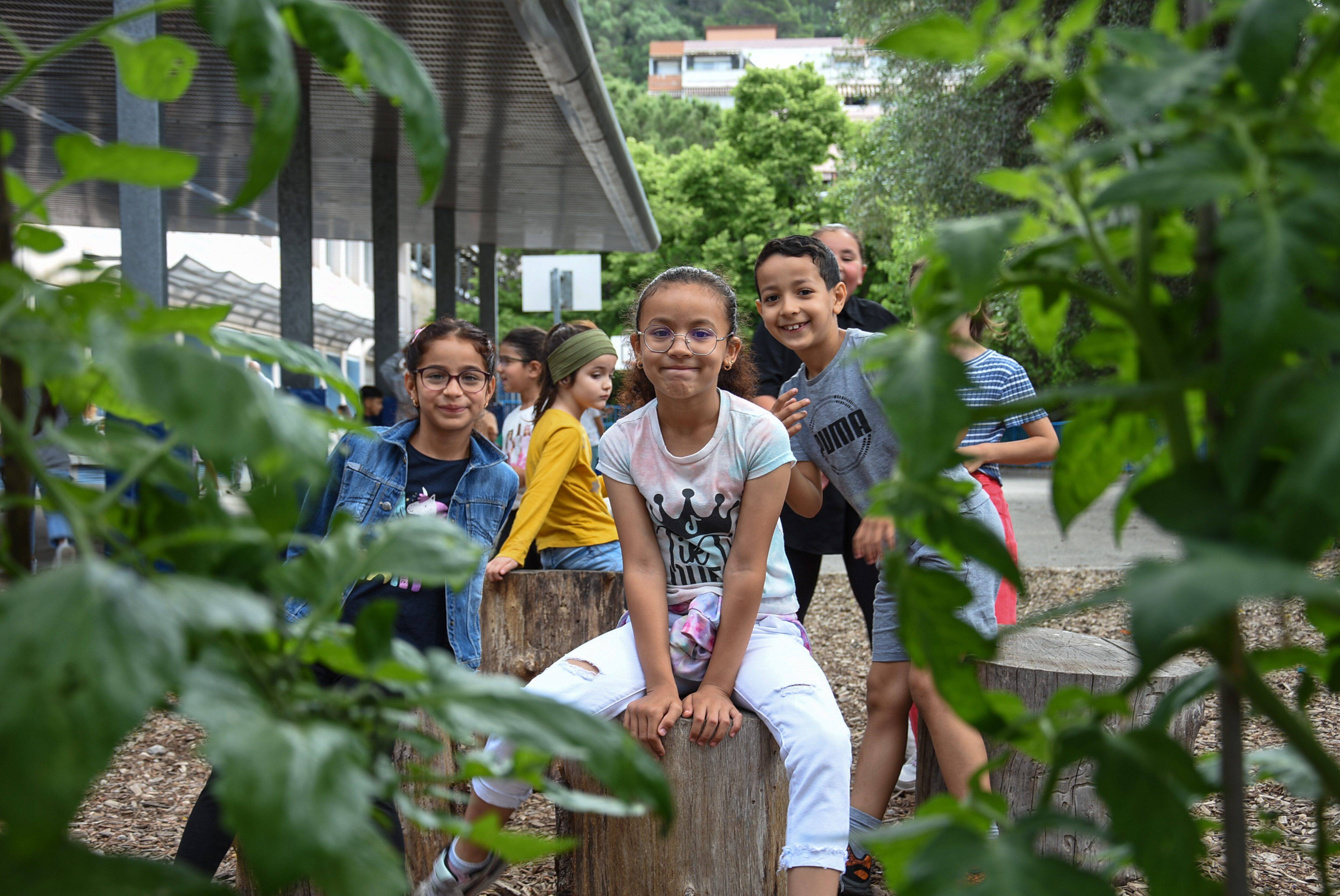 "Des tomates, des courgettes, des kiwis et même deux bananiers...": dans cette école de Nice, enfants et enseignants séduits par la végétalisation de leur cour