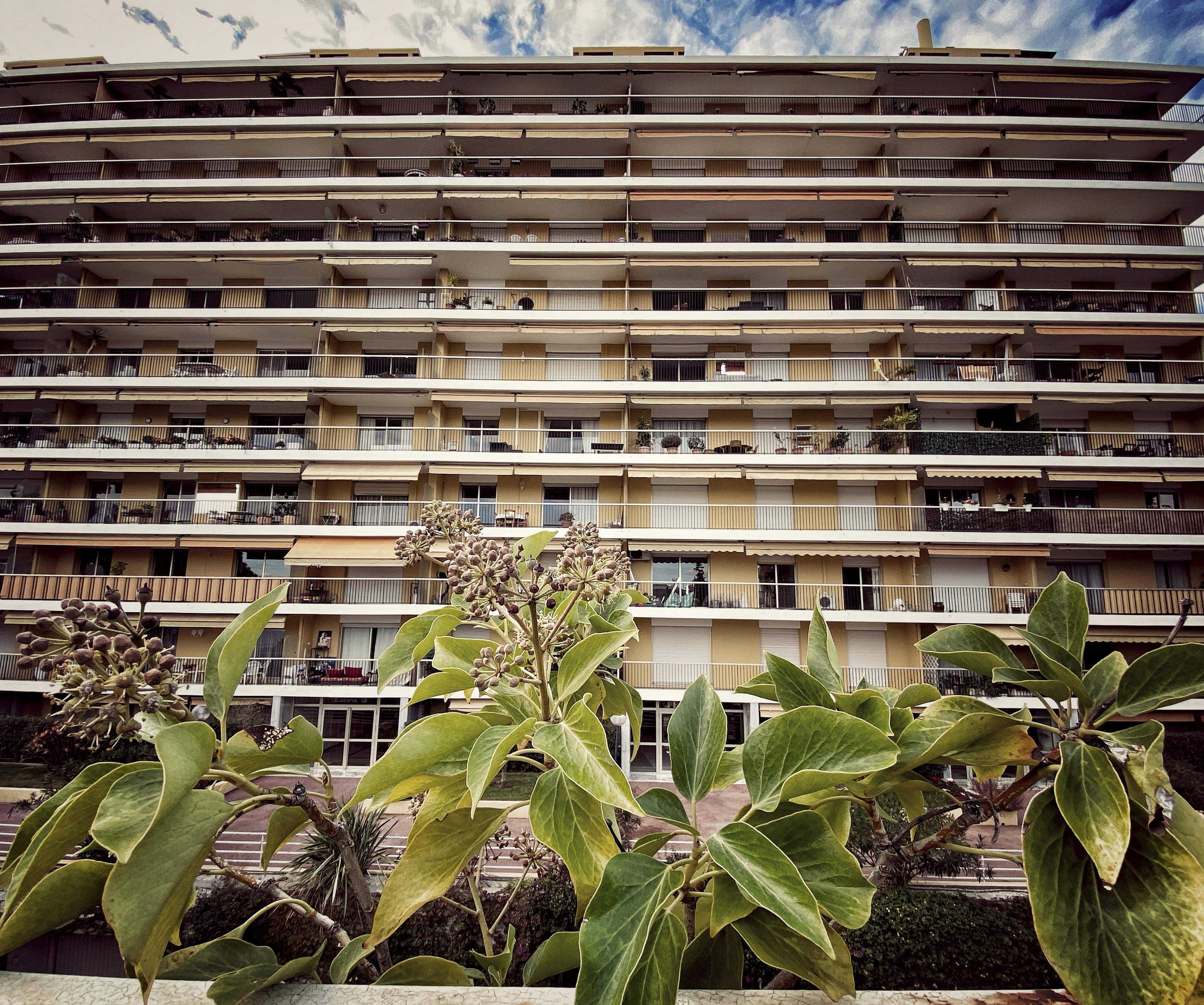 Face à la hausse du prix du gaz, l'habitat collectif joue la carte individuelle