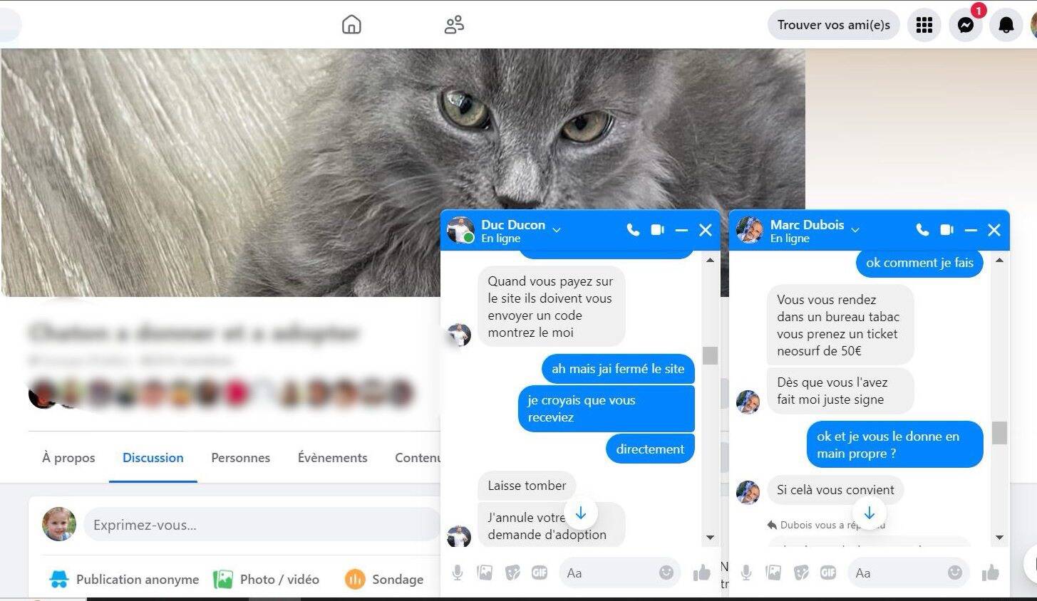 Menaces, appels, pression... Nous aussi, on a été pris pour cible par des escrocs en voulant adopter un chat