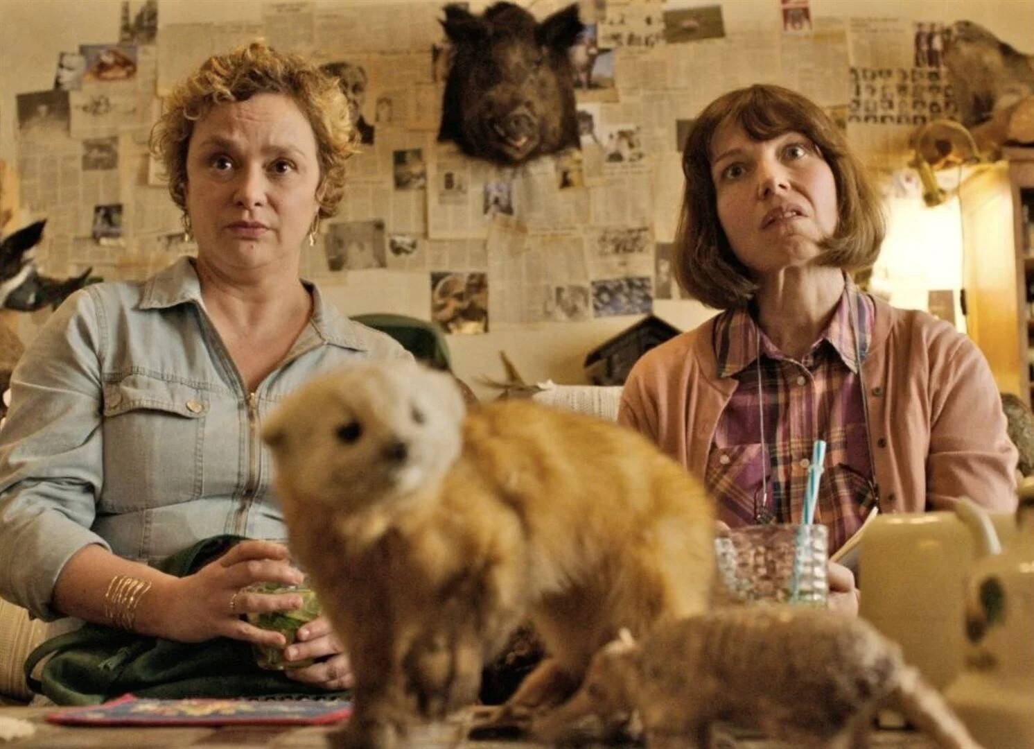 "Les pistolets en plastique": quel est ce film qui détourne l'affaire Dupont de Ligonnès avec de l'humour?