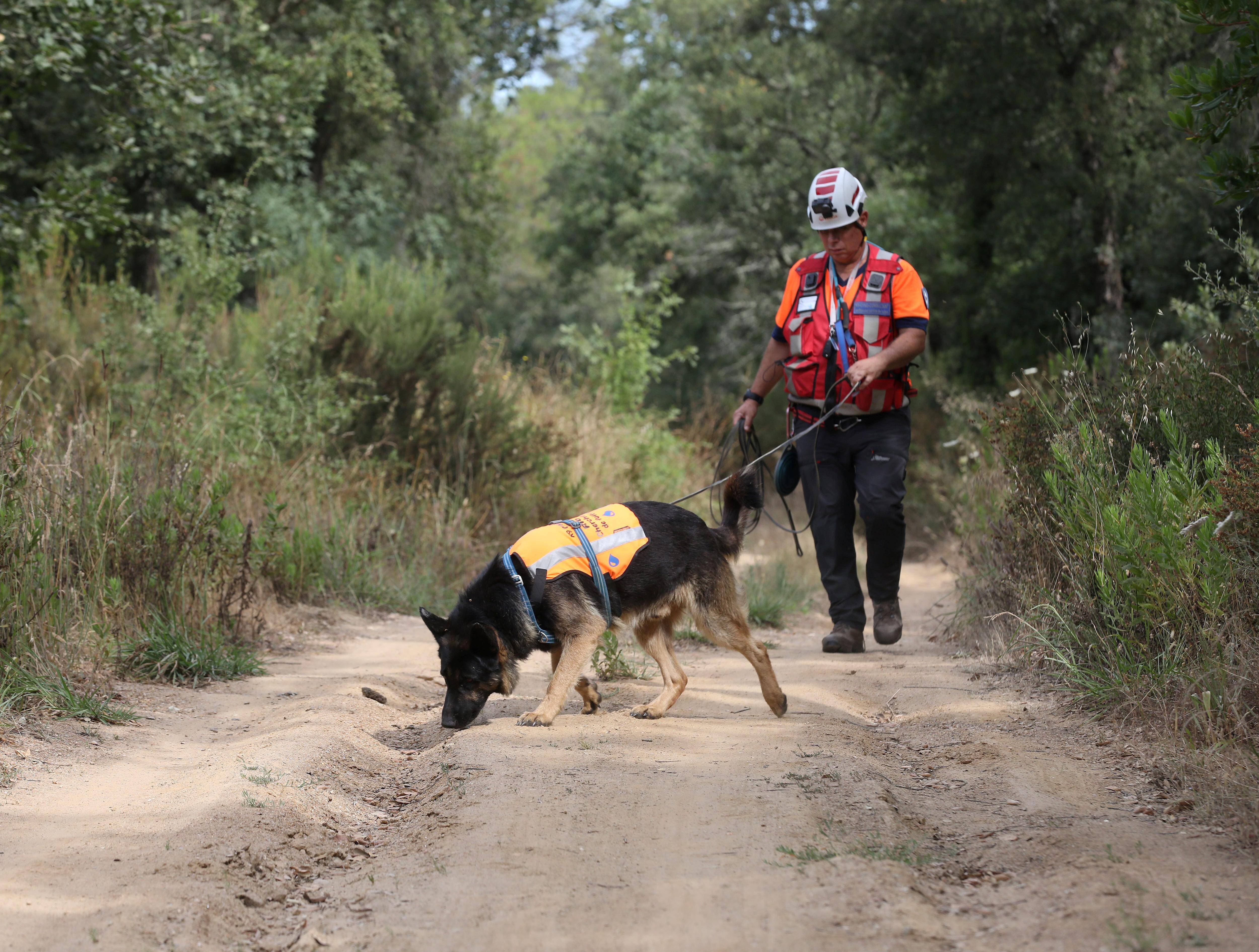 La technique des chiens "renifleurs" pour débusquer des fuites d'eau dans le Var