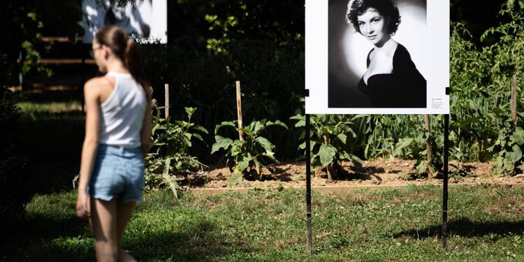 Bourvil, Edith Piaf, Marlene Dietrich... 70 portraits Harcourt à voir en pleine nature à la Villa Simone dans le Var