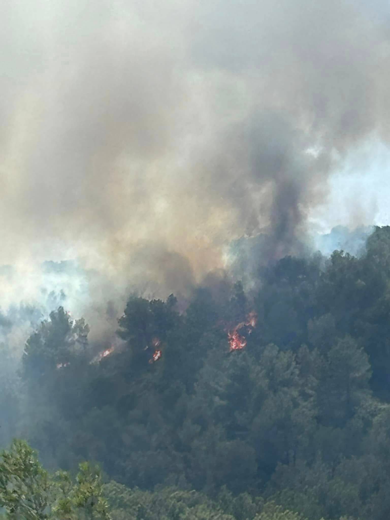 Incendie entre Bandol et Saint-Cyr: 7 hectares ravagés, le feu est fixé