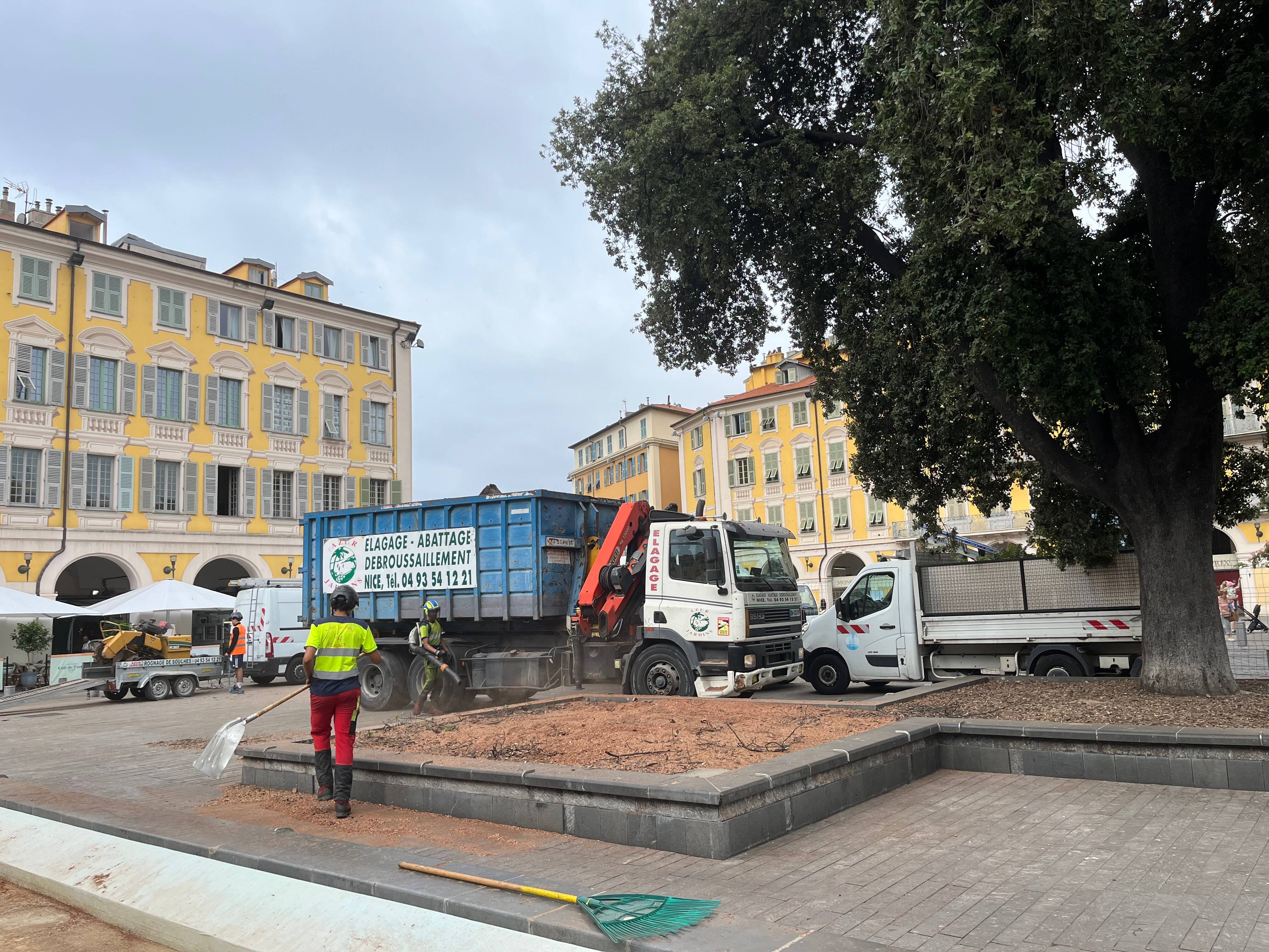 Il avait été planté en 1869: pourquoi ce chêne emblématique d'une place de Nice a été abattu