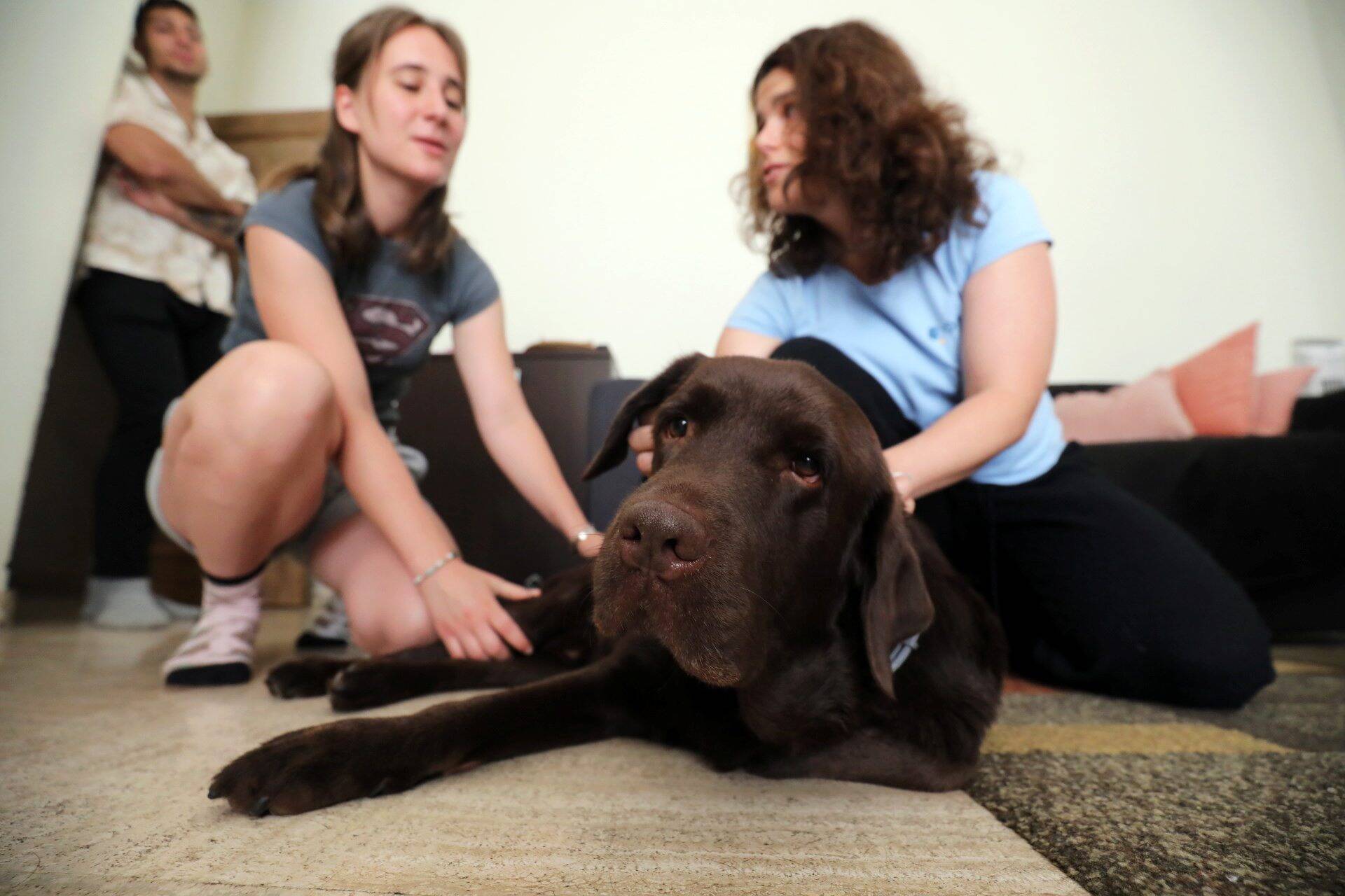 "Je voulais redonner une dimension humaine à mon métier": à Nice ces vétérinaires se déplacent au domicile des animaux pour des soins... plus humains