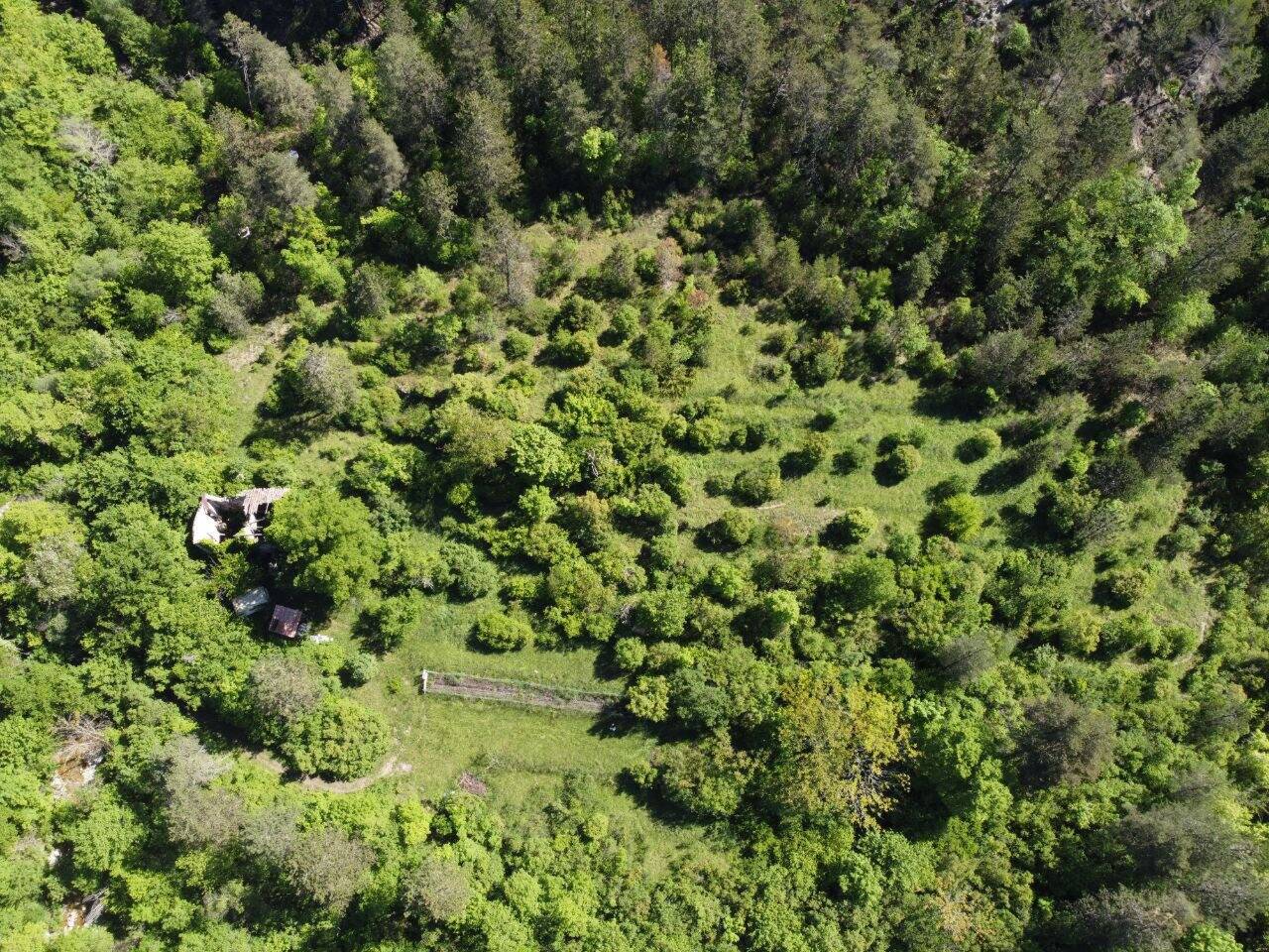 On vous explique pourquoi la forêt de Villars-sur-Var a reçu un soutien financier de 50.000 euros