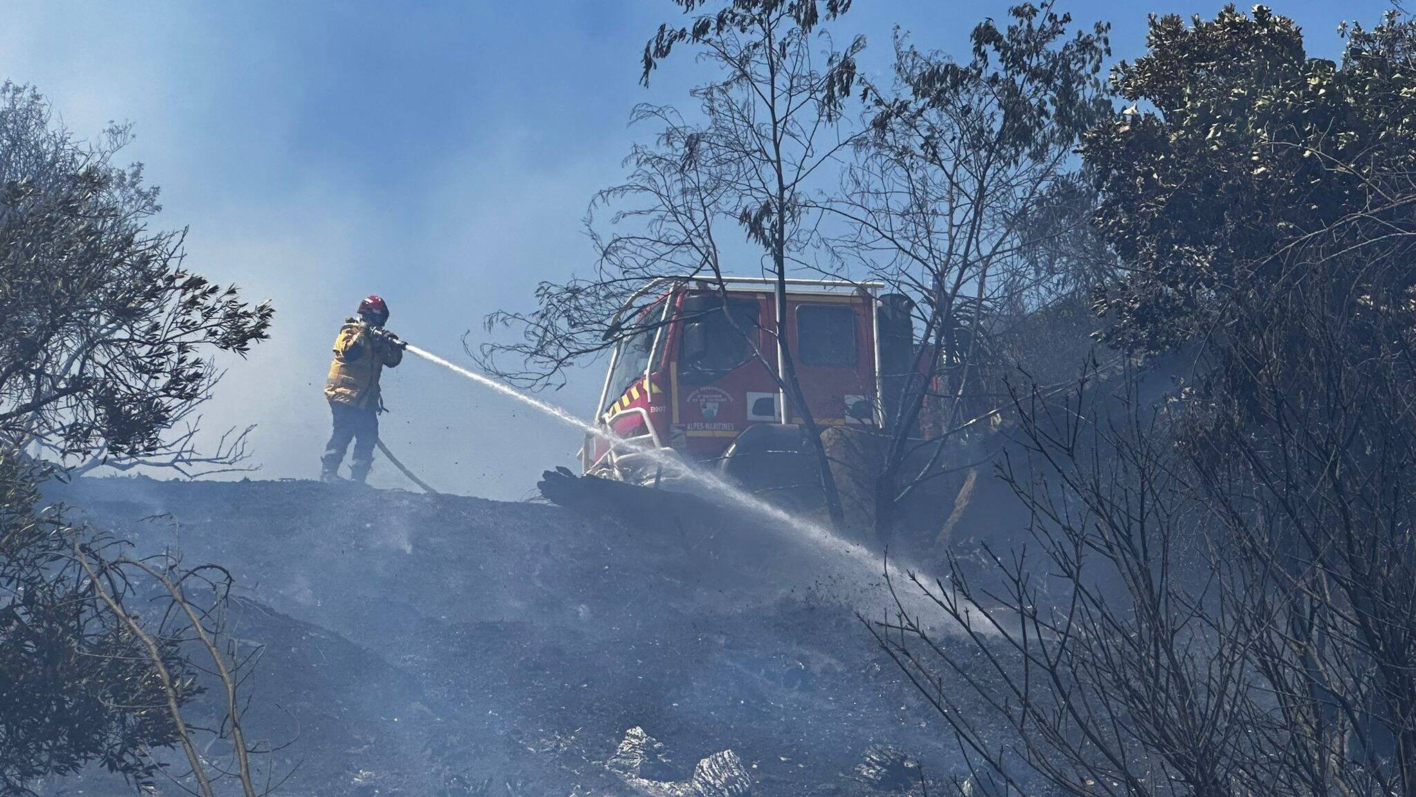 Un hectare brûlé, 150 pompiers mobilisés, le feu fixé... Ce que l'on sait de l'incendie sur les hauteurs de Mandelieu