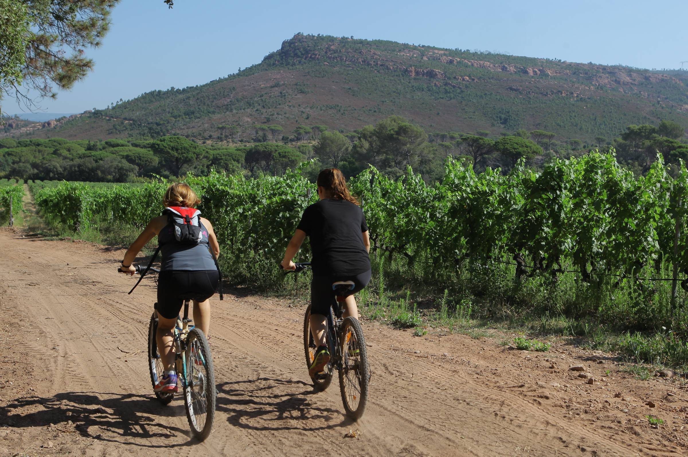 Les secours viennent en aide à deux vététistes déshydratés au Muy