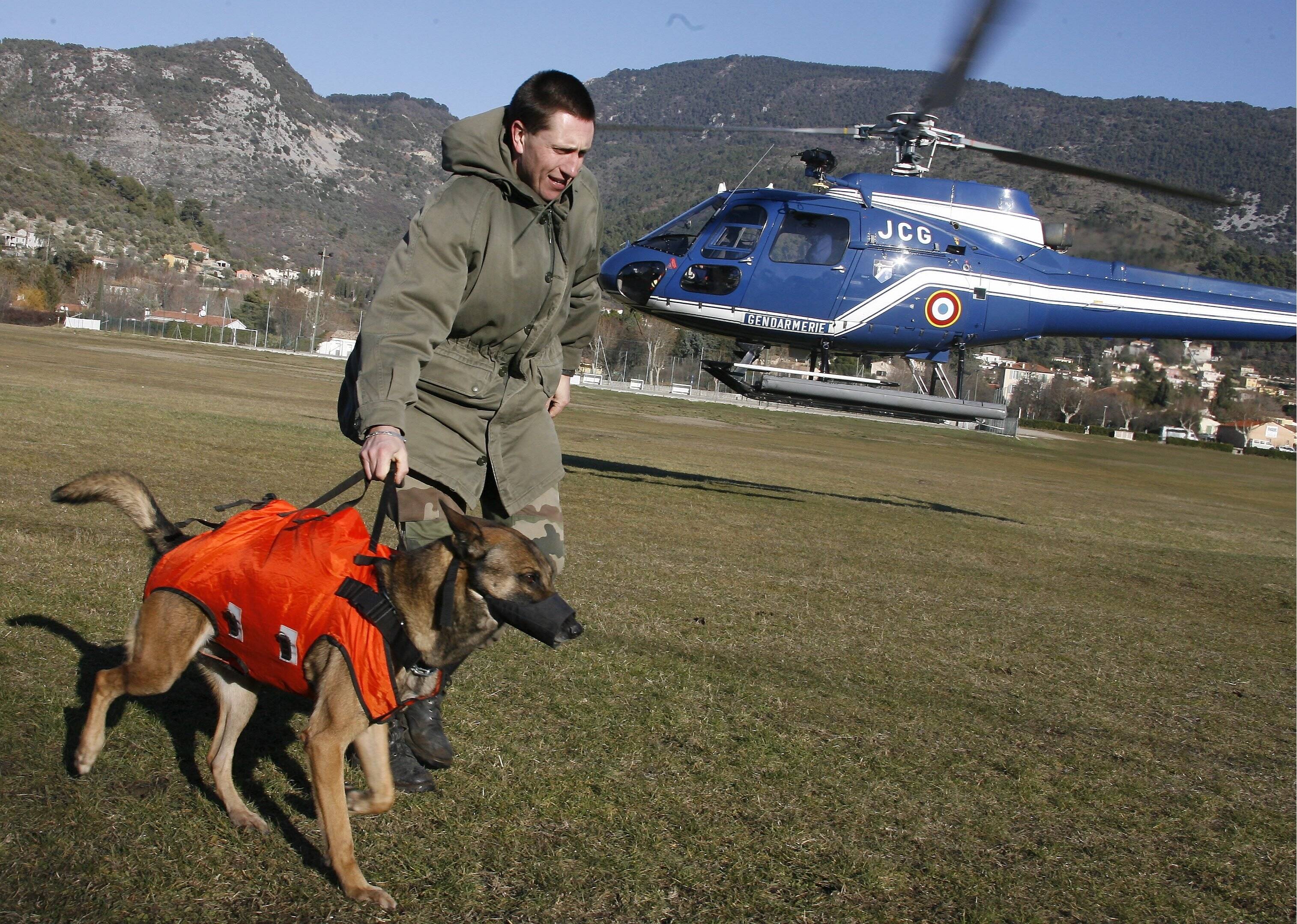 Un randonneur de 76 ans retrouvé grâce au flair d'un chien pisteur de gendarmerie dans les Alpes-Maritimes