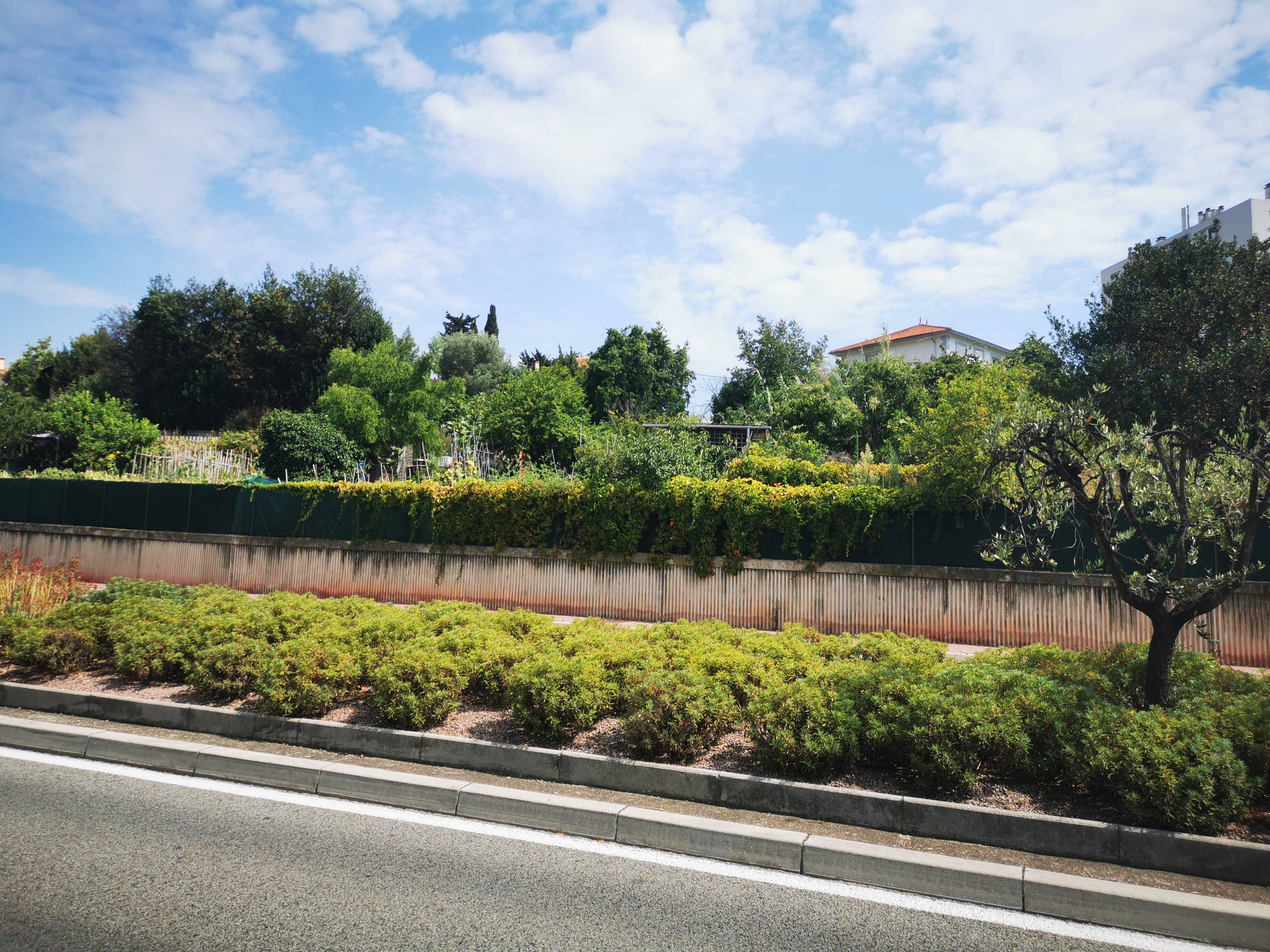 À Cannes, des "îlots de verdure" sanctuarisés au Paillassou pour faire face aux promoteurs immobiliers