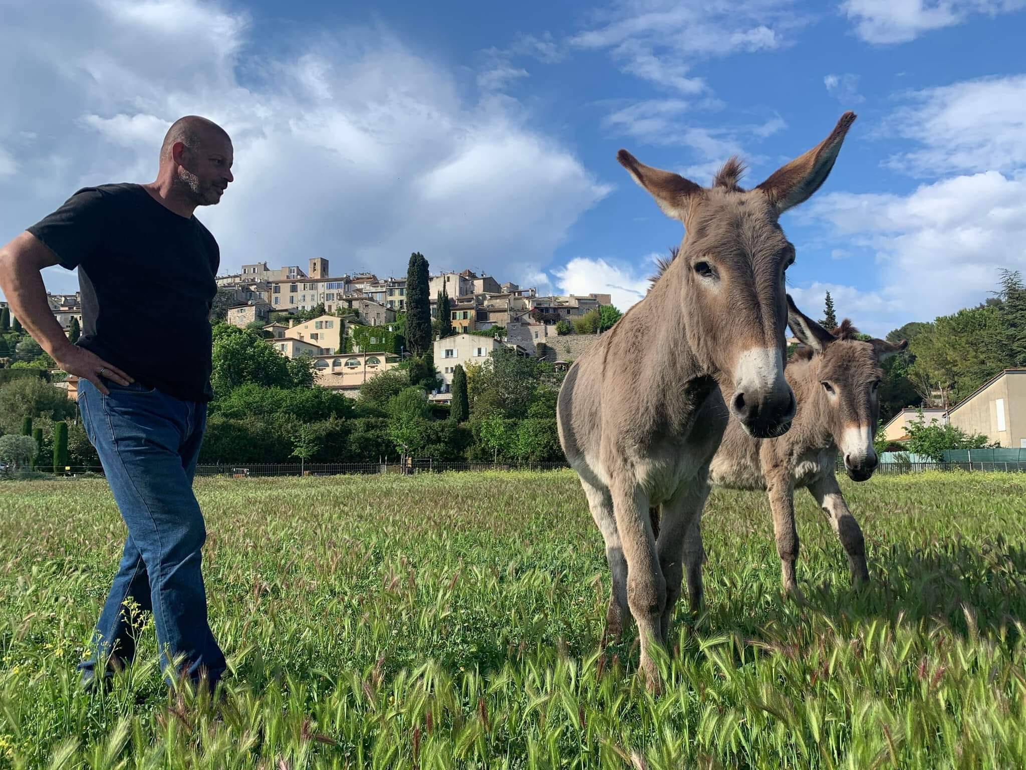 Ses ânes se retrouvent privés d'eau parce qu'on lui vole le fourgon qui servait à les ravitailler