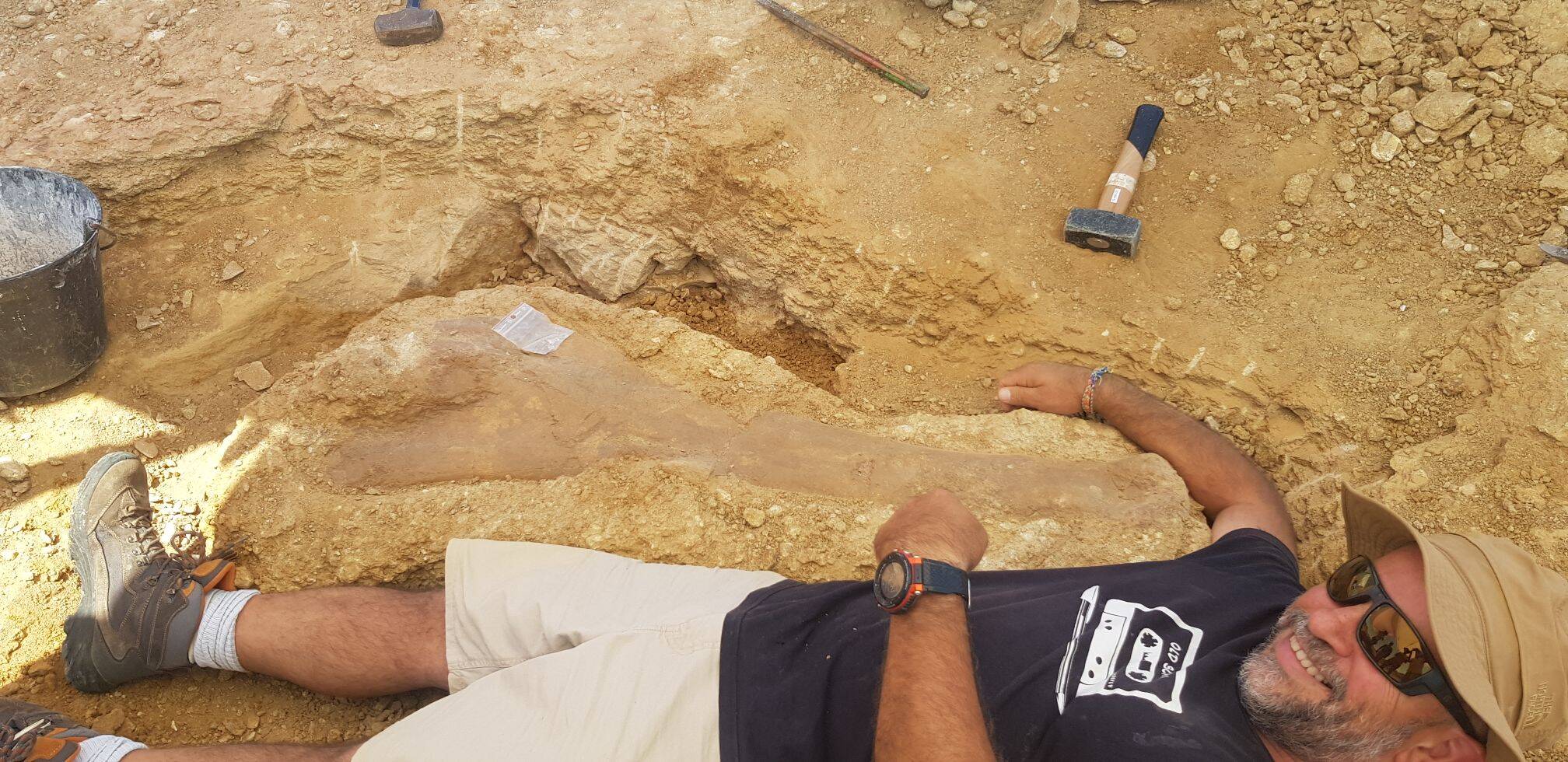 'This is a major discovery': Two amazing fossils of giant dinosaur discovered in the Var