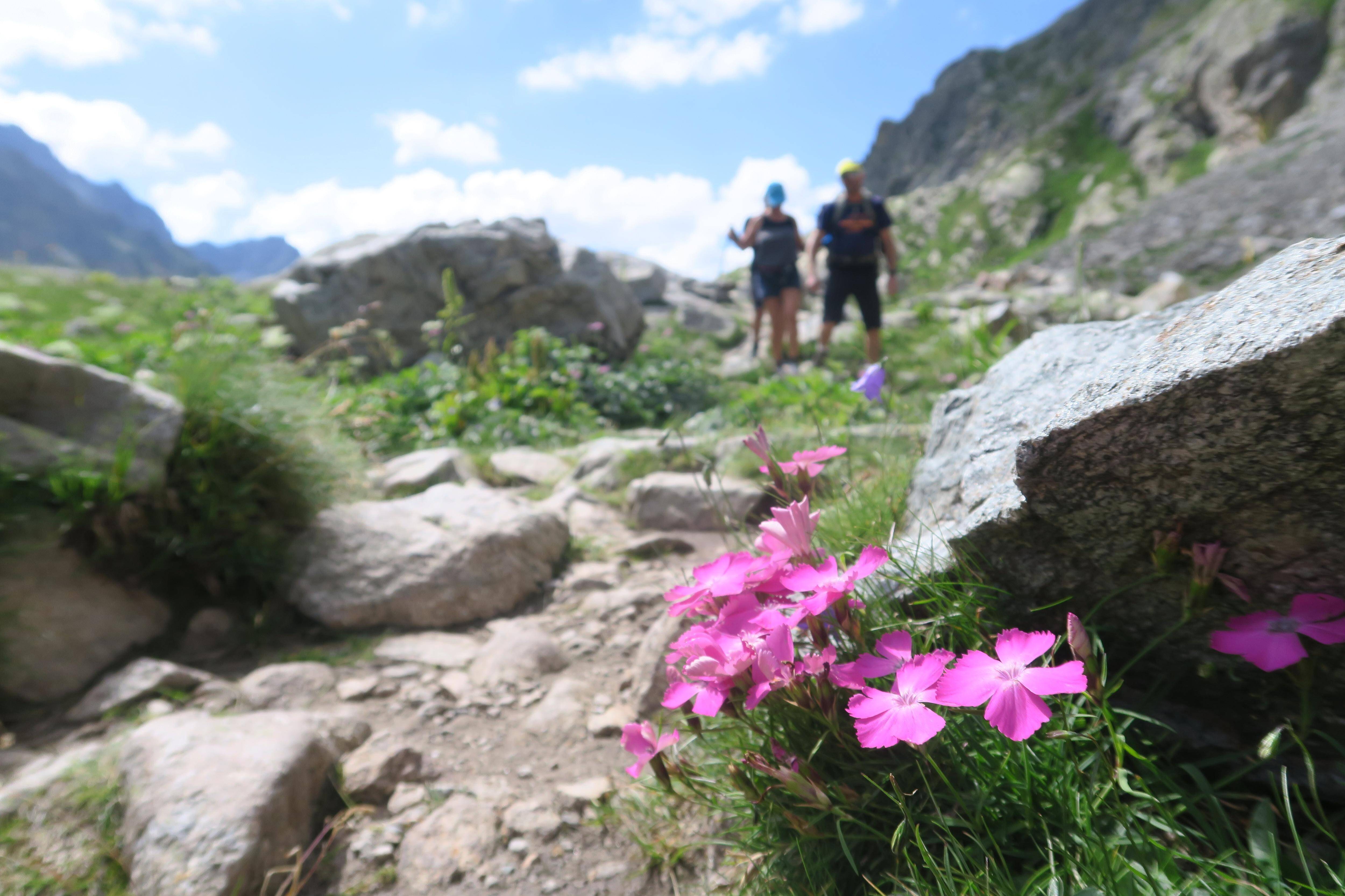 “Overcrowded attractions are not attractive for people coming to the mountains”: How can Mercantour better distribute tourists?