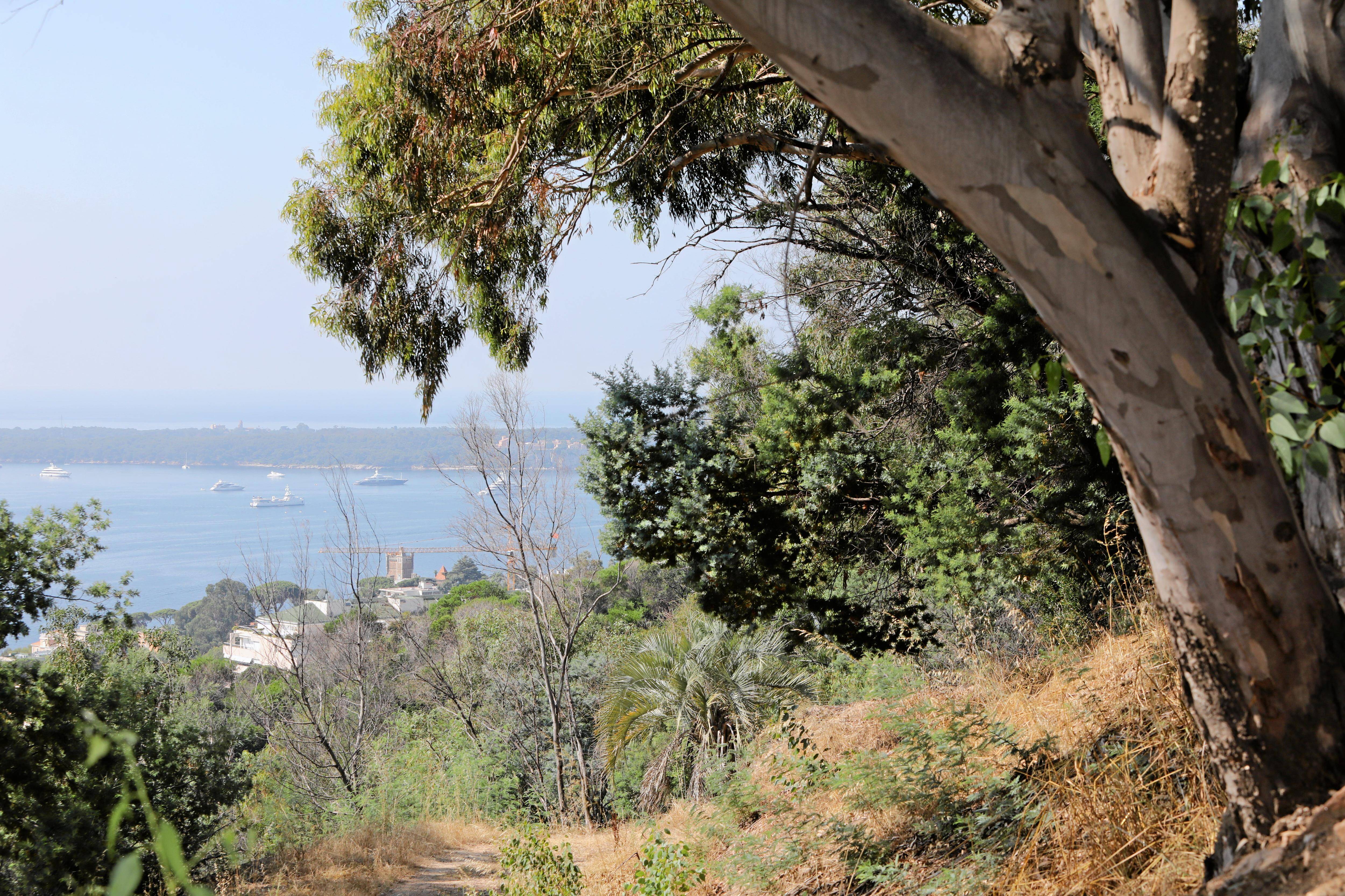 Parcs, musées, jardins... Voici nos idées fraîcheur à Vallauris... et ses environs