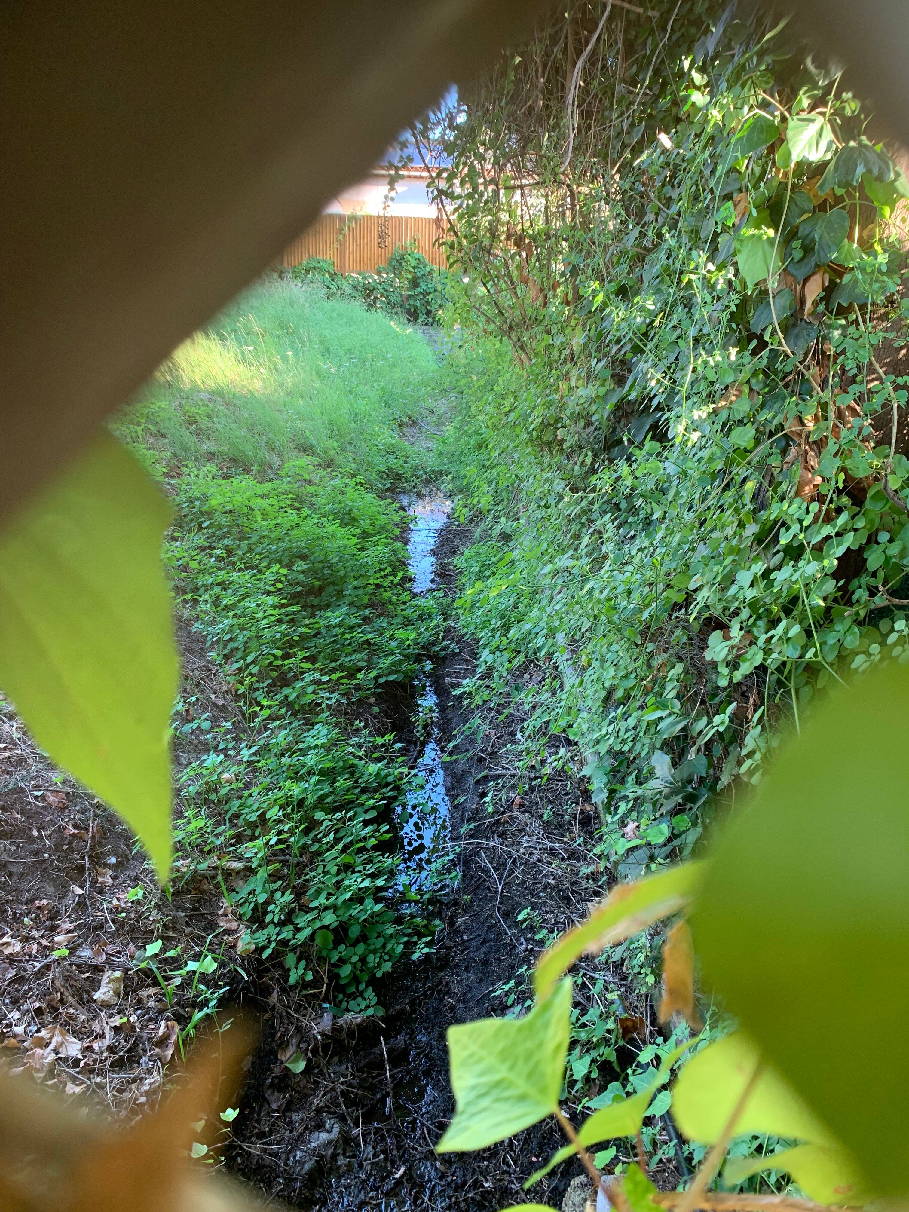 "L'eau croupit et les moustiques se multiplient": des riverains de Villeneuve-Loubet se plaignent d'un canal qui attirerait les moustiques