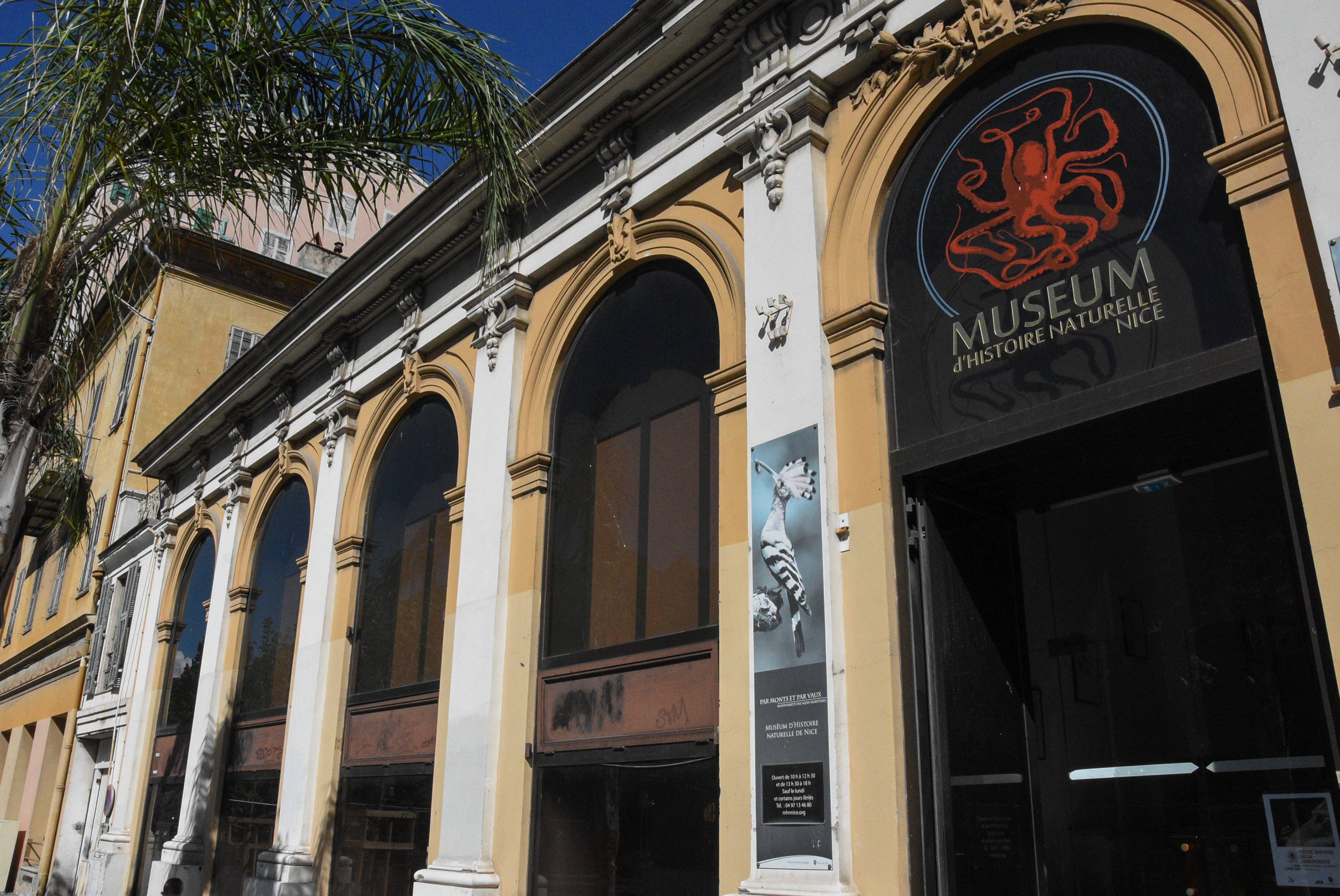 Le Muséum d'histoire naturelle de Nice se dote d'un labo ADN dernier cri et devient "une référence dans le monde de la recherche"