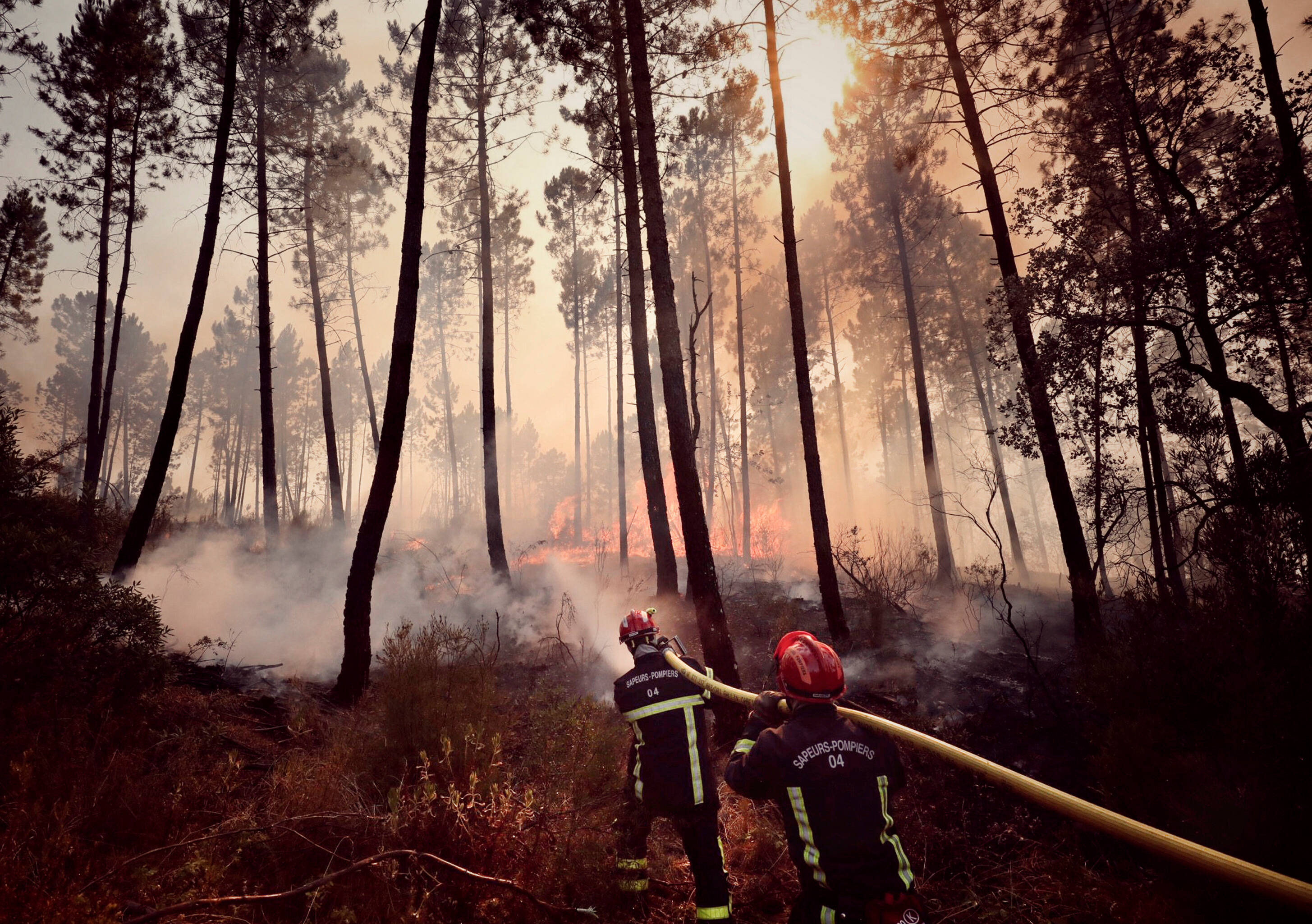 Le feu de forêt de Canjuers est fixé, 21 hectares ont été détruits