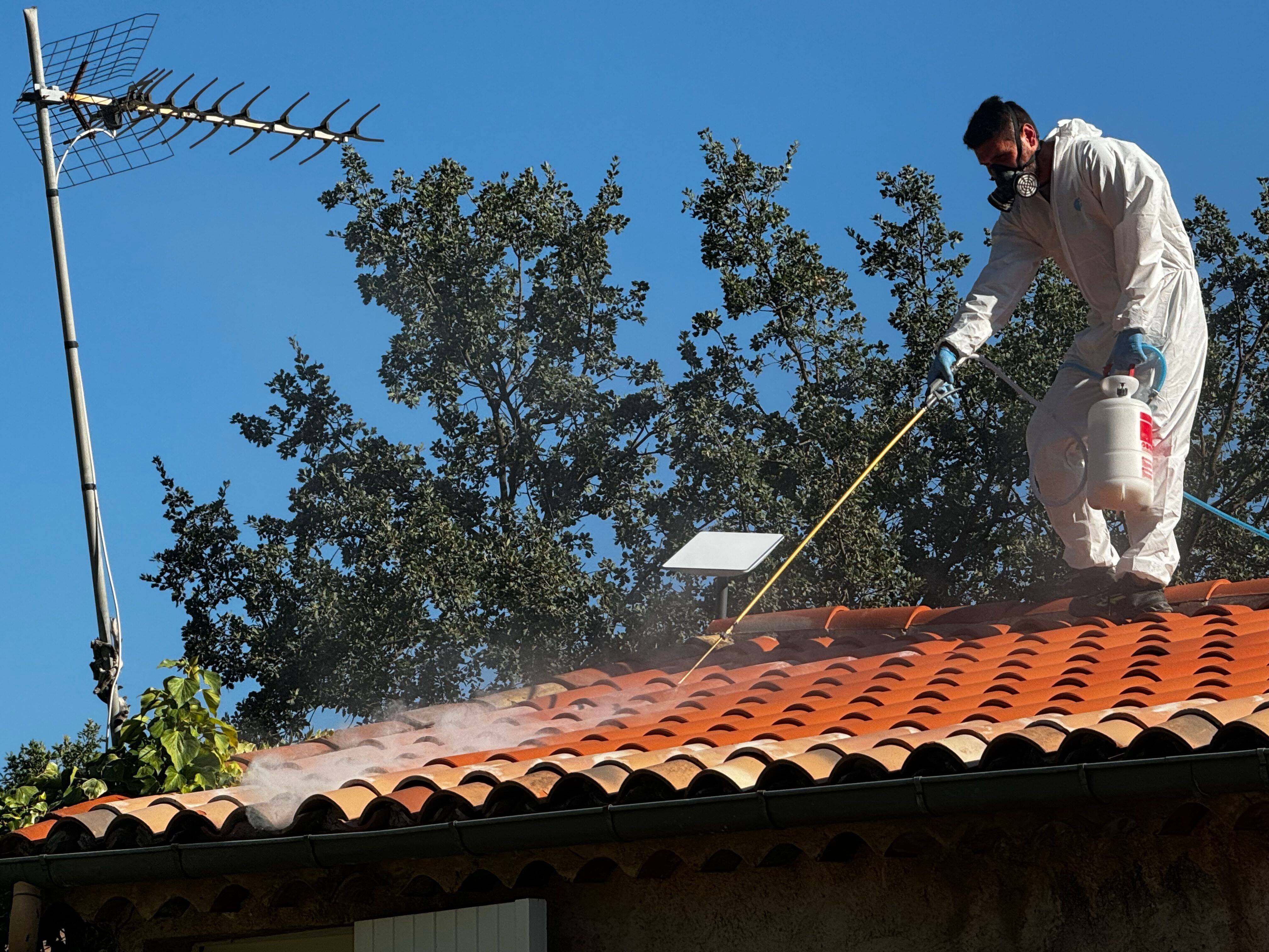 "Je n'ai jamais vu ça en 10 ans": certains désinsectiseurs croulent sous les signalements de guêpes dans le Var