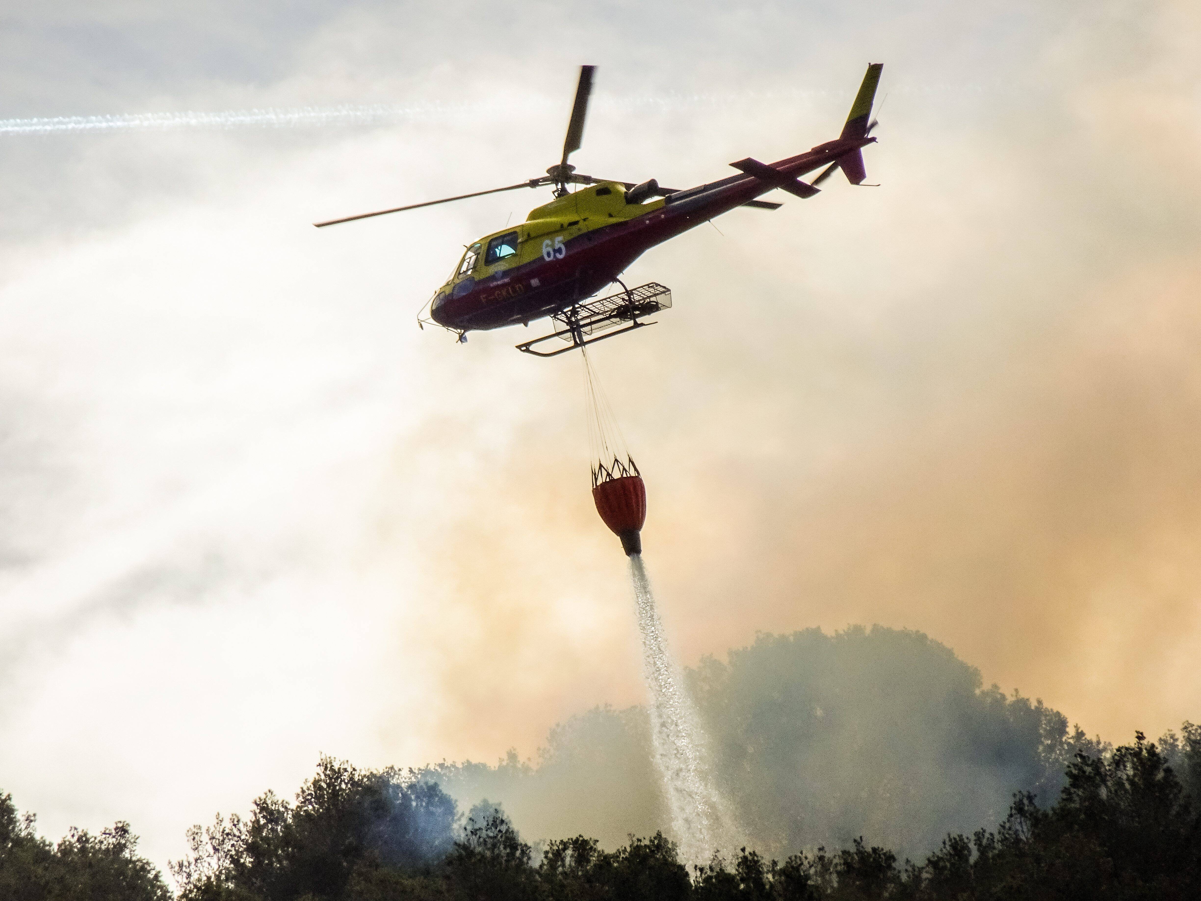Un feu de forêt maîtrisé à Saint-Sauveur-sur-Tinée ce vendredi